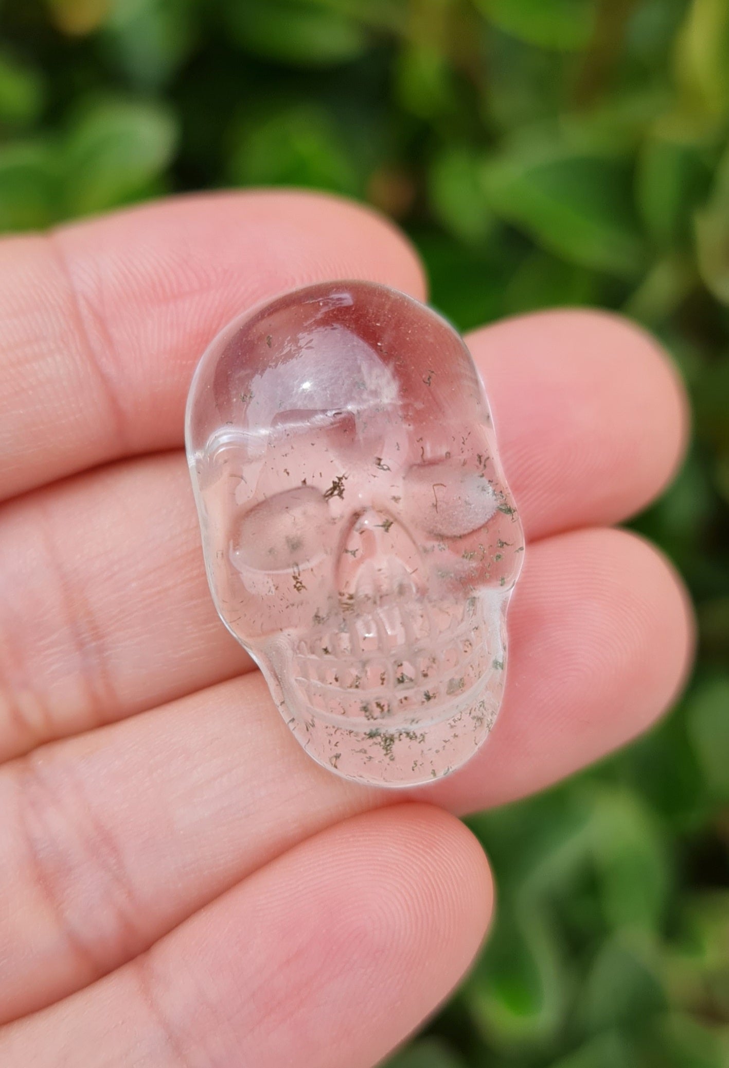 Garden Quartz (Lodolite) Skull