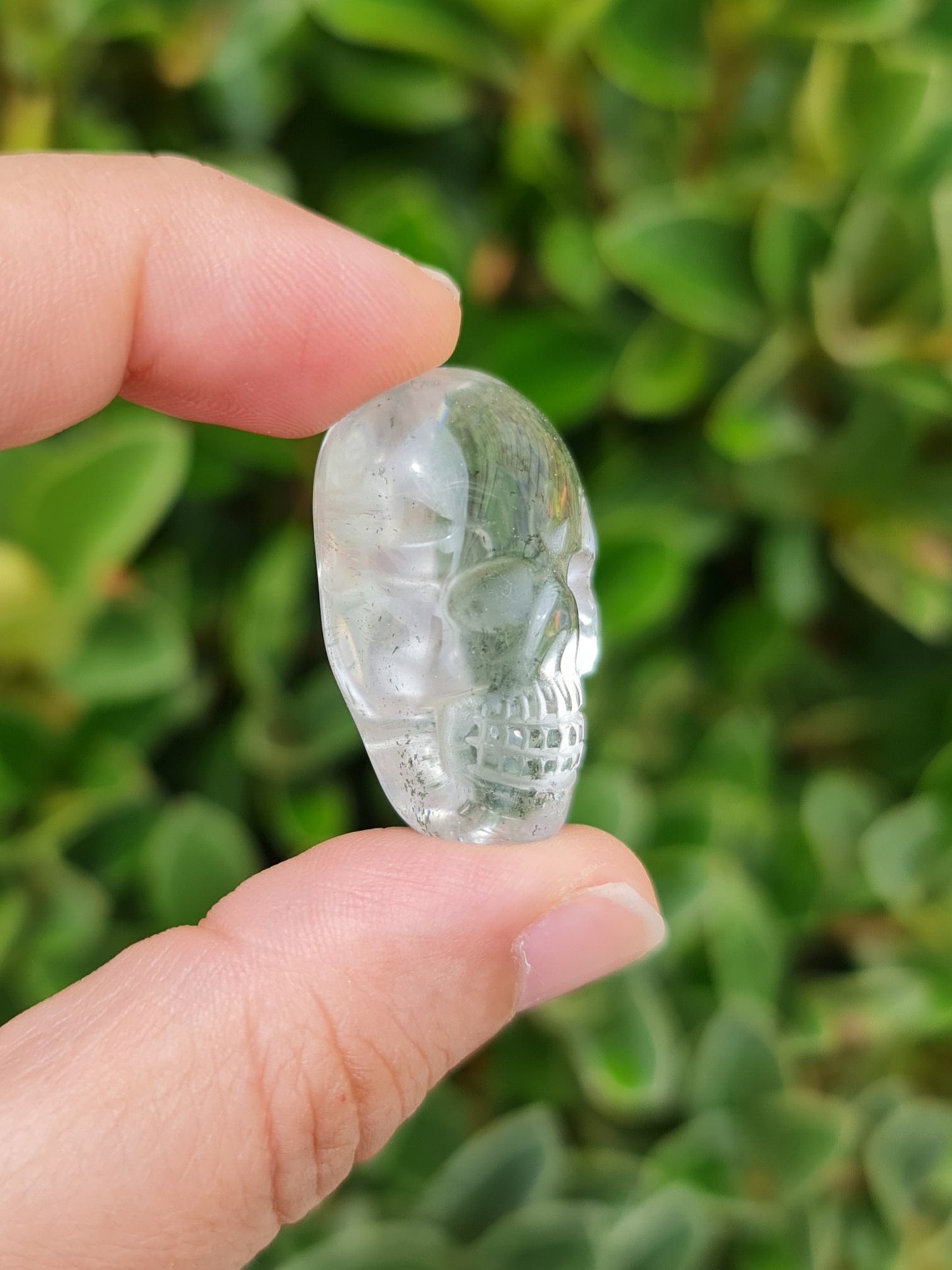 Garden Quartz (Lodolite) Skull
