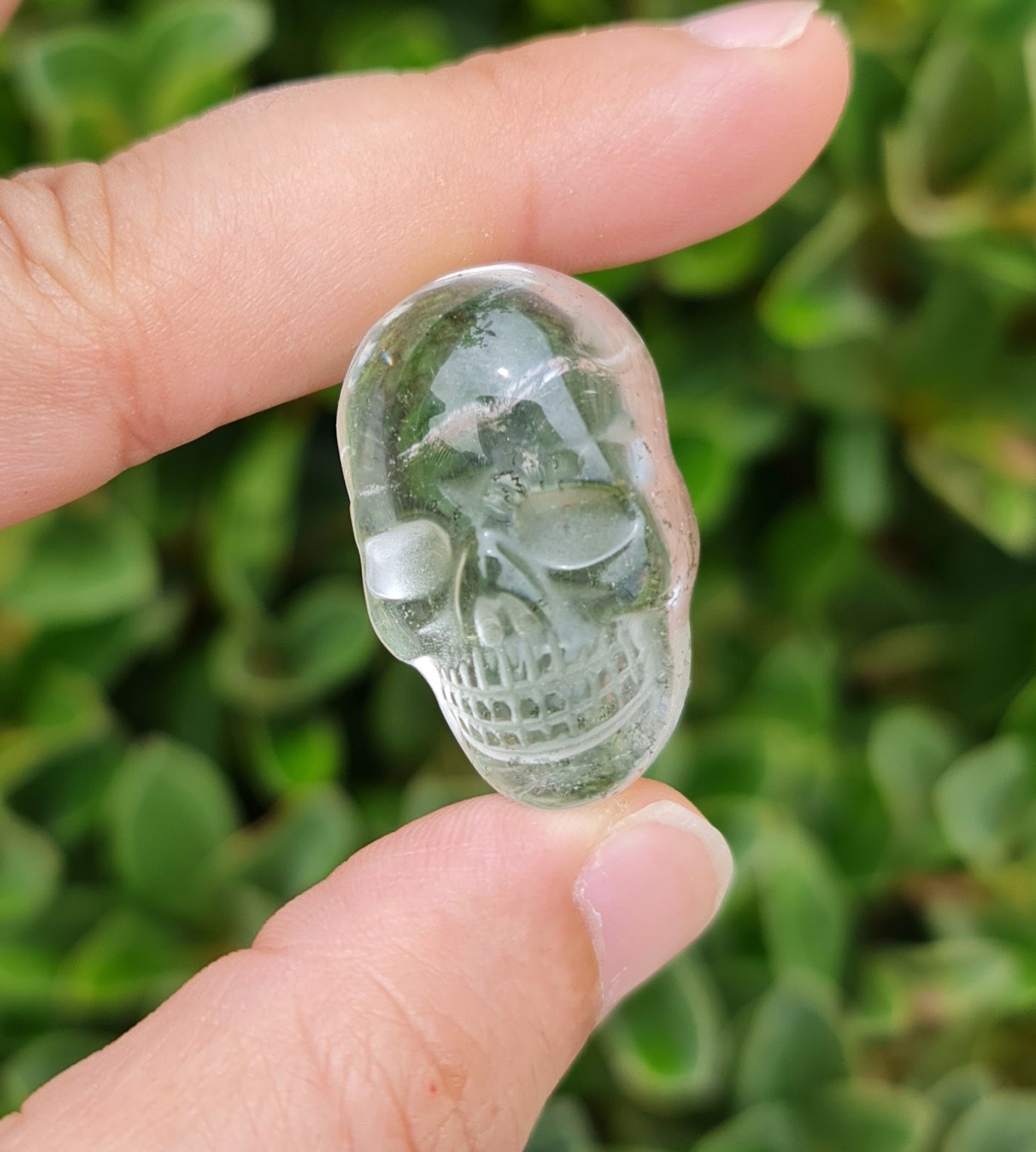 Garden Quartz (Lodolite) Skull
