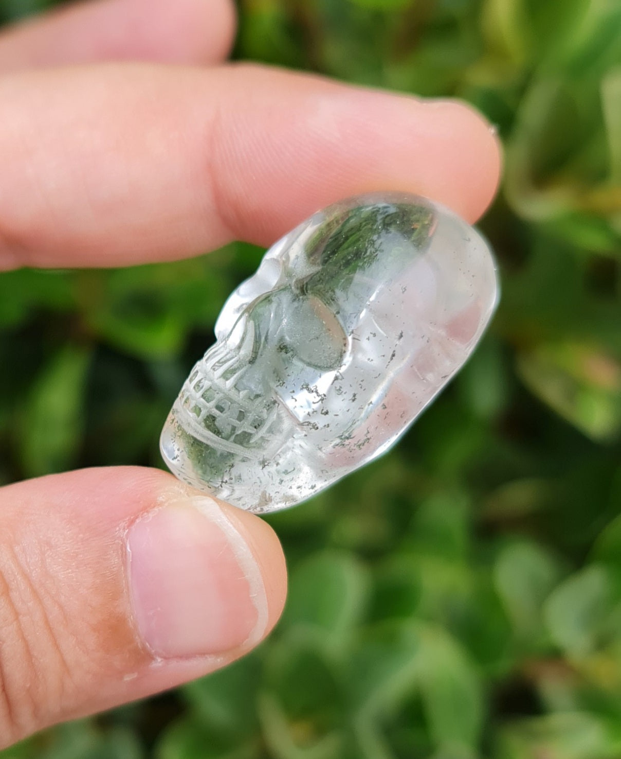 Garden Quartz (Lodolite) Skull