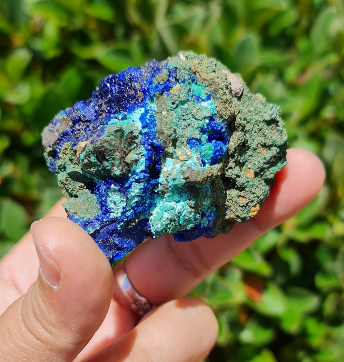 Azurite with Malachite Specimen