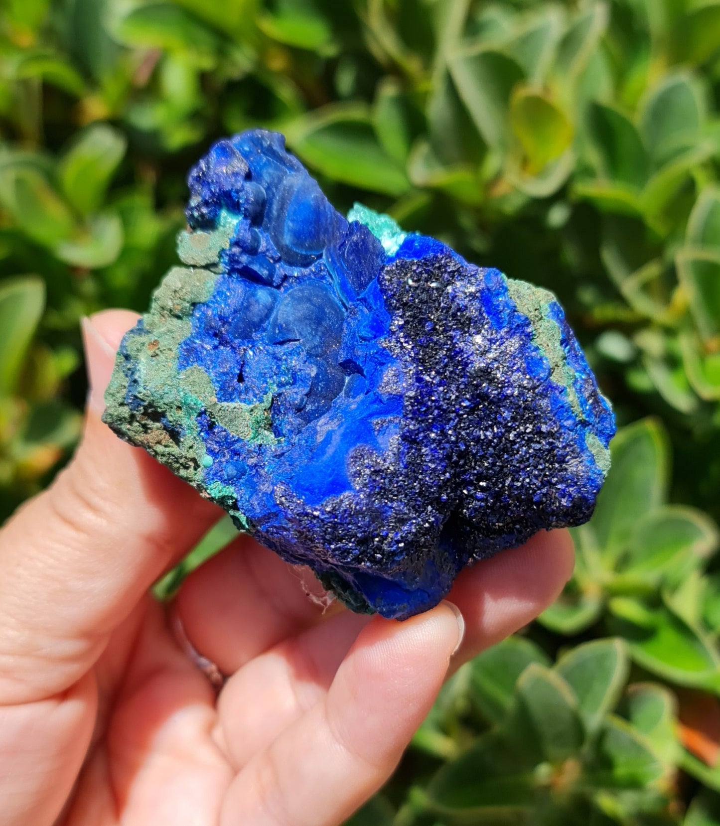 Azurite with Malachite Specimen