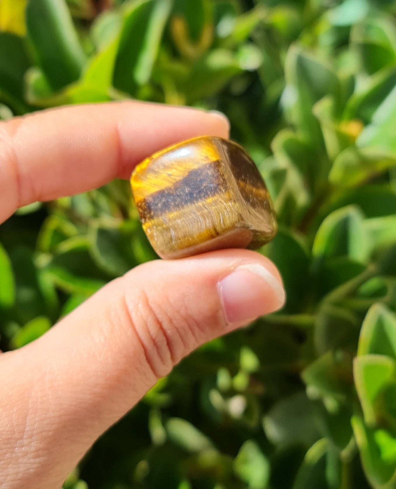 Tiger's Eye Cube