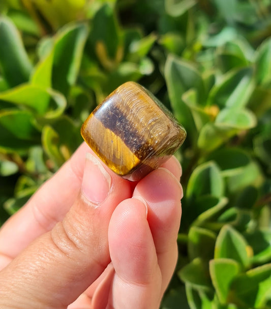 Tiger's Eye Cube