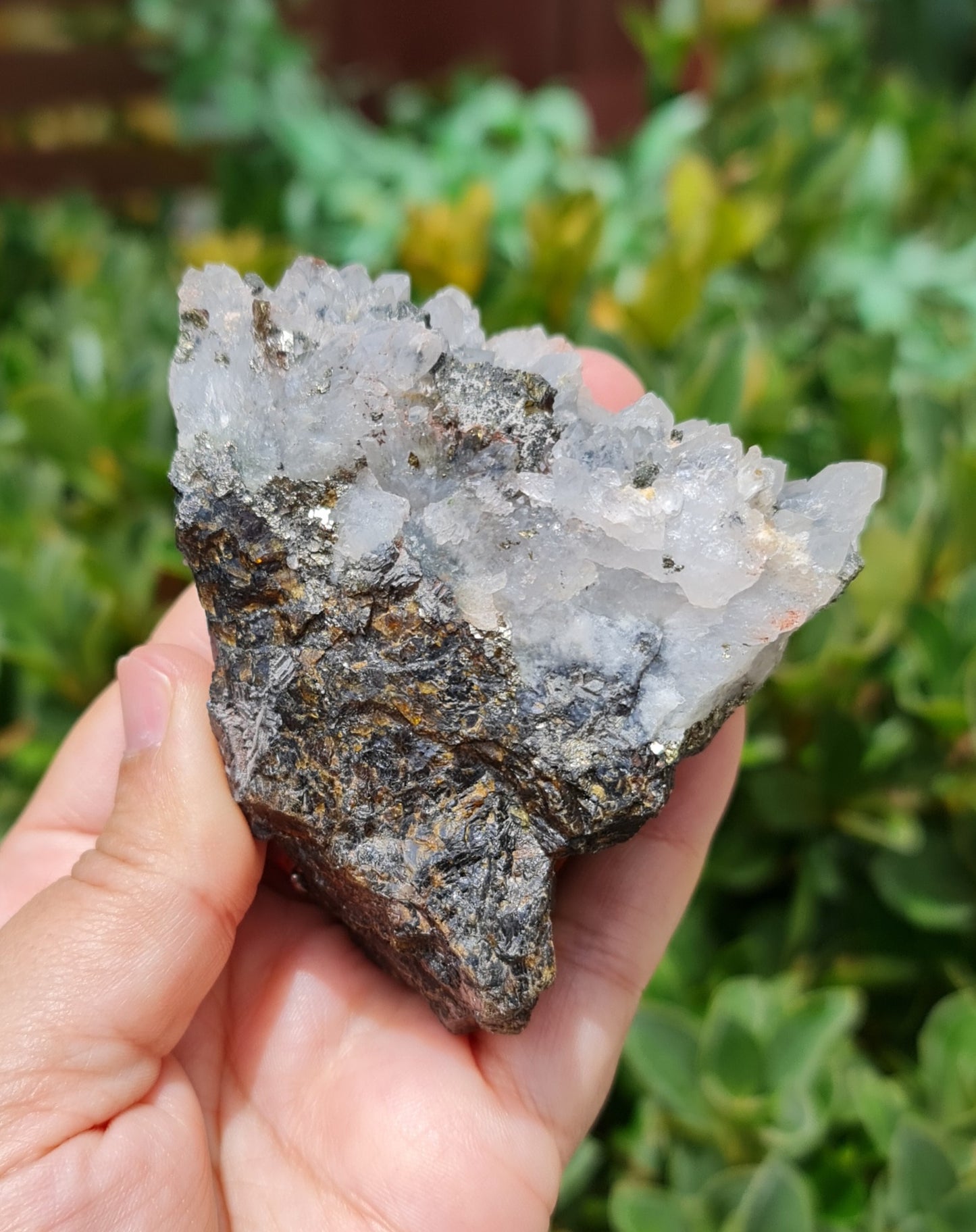 Chalcopyrite Quartz Specimen