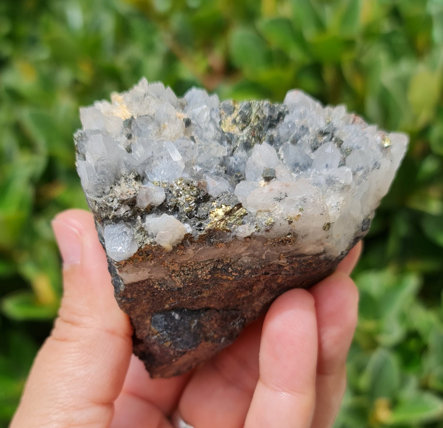 Chalcopyrite Quartz Specimen