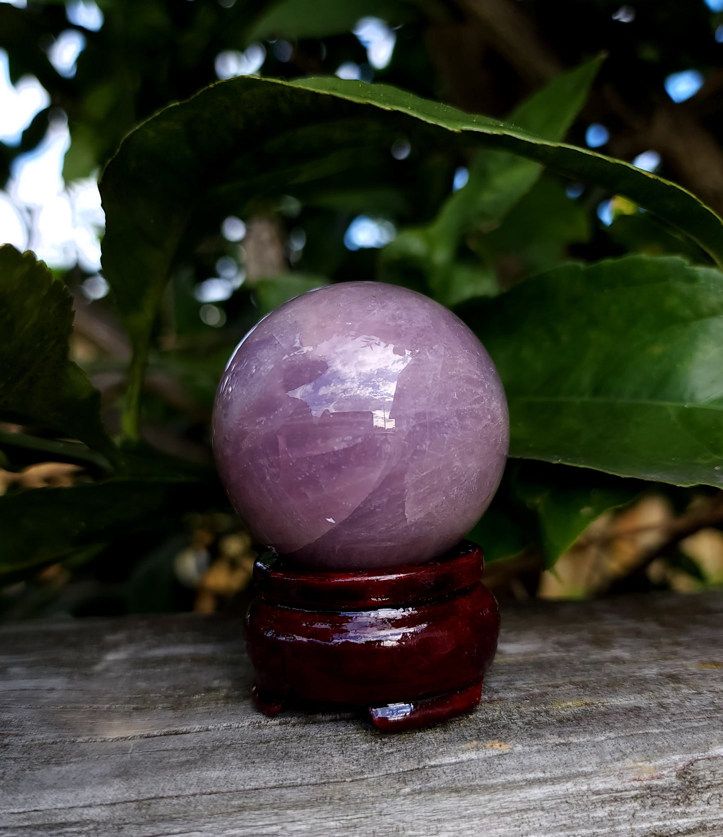 Star Lavender Rose Quartz