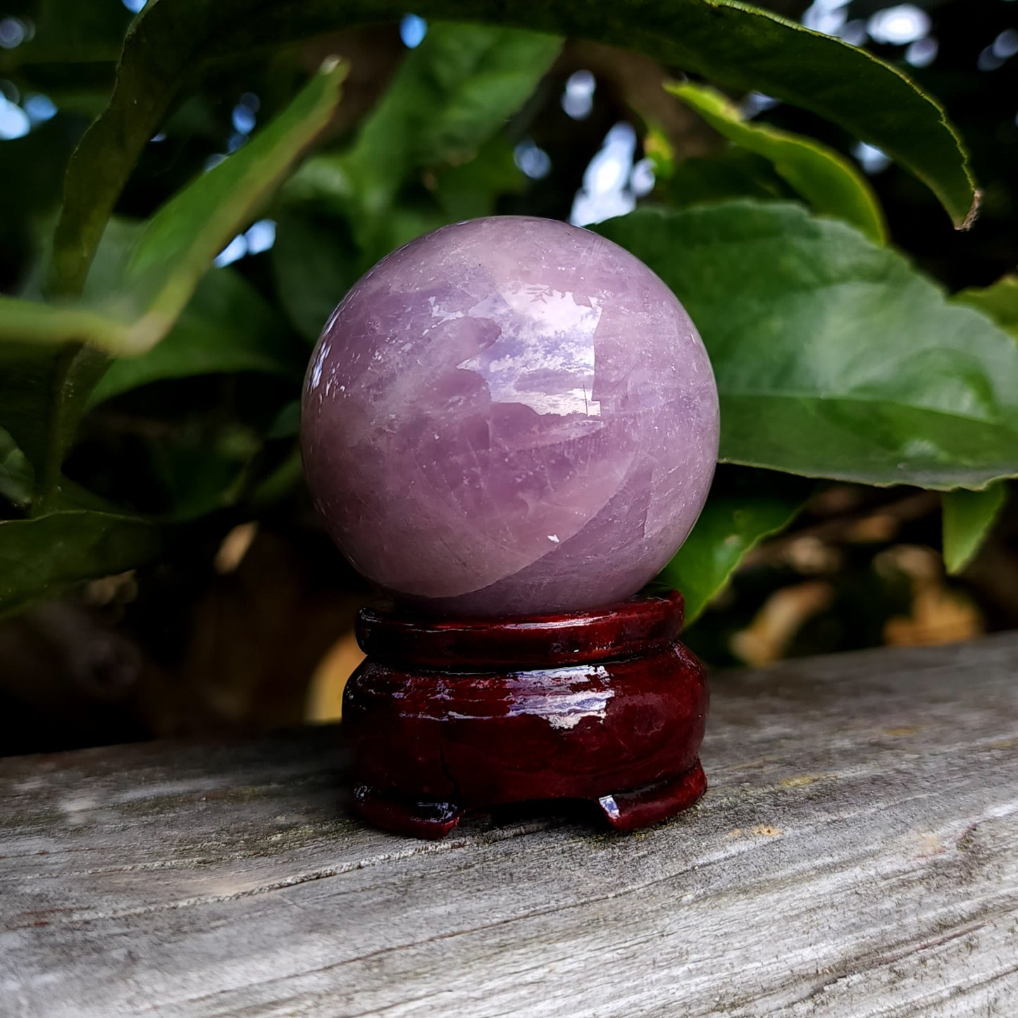 Star Lavender Rose Quartz