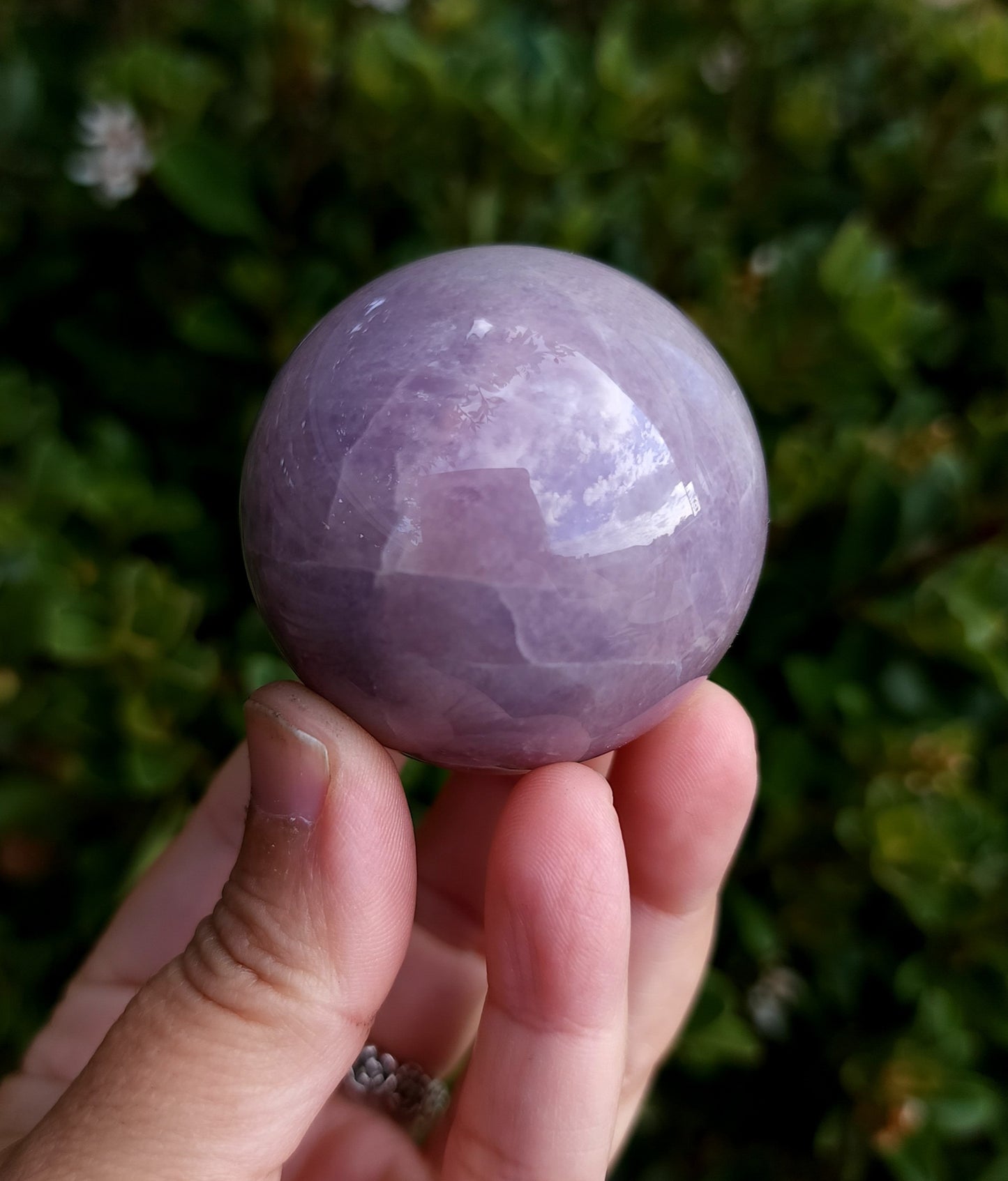 Star Lavender Rose Quartz