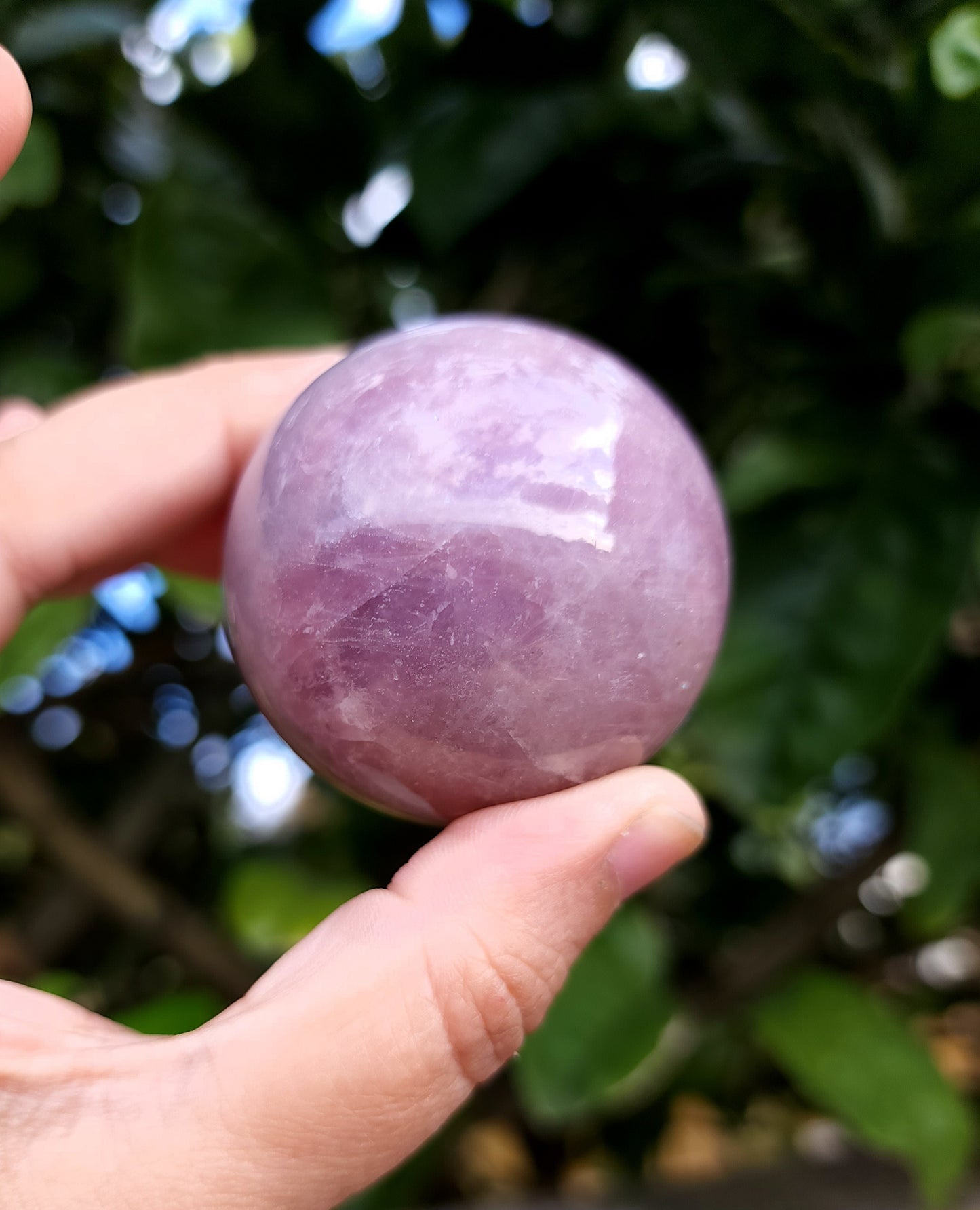 Star Lavender Rose Quartz