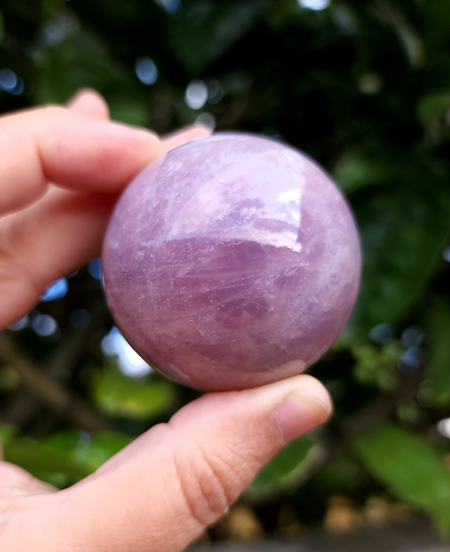 Star Lavender Rose Quartz