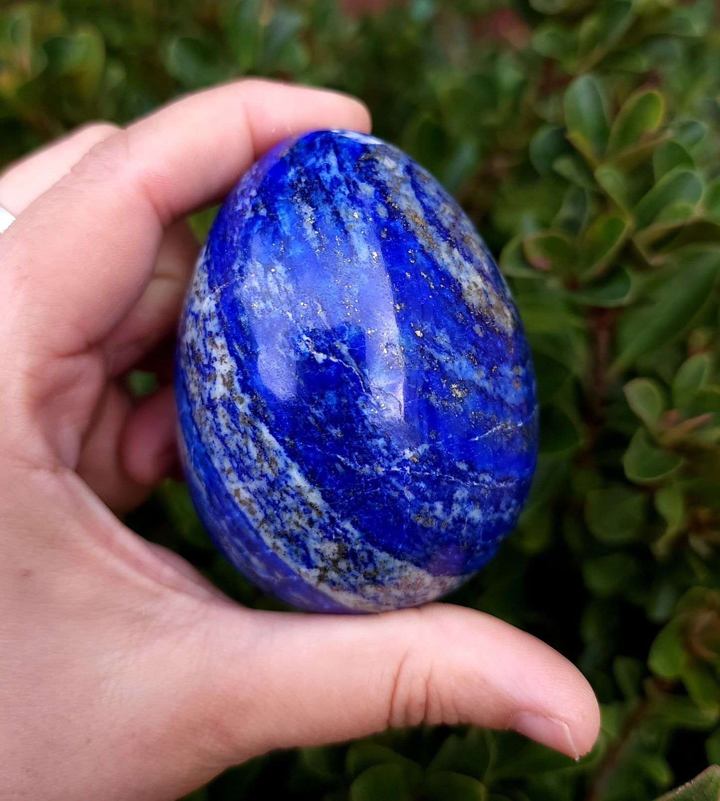 Lapis Lazuli Egg