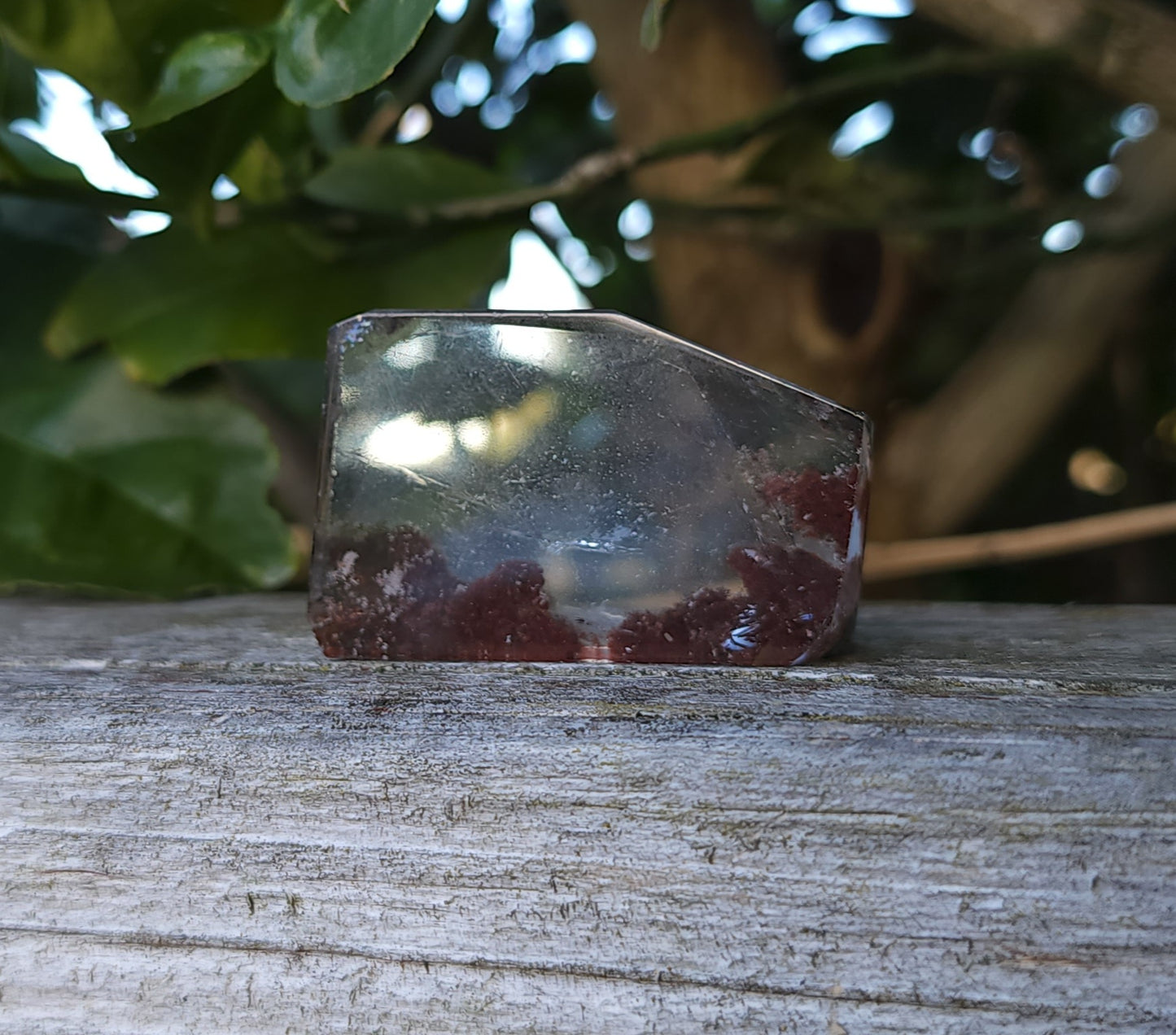 Lodolite Garden Quartz Freeform