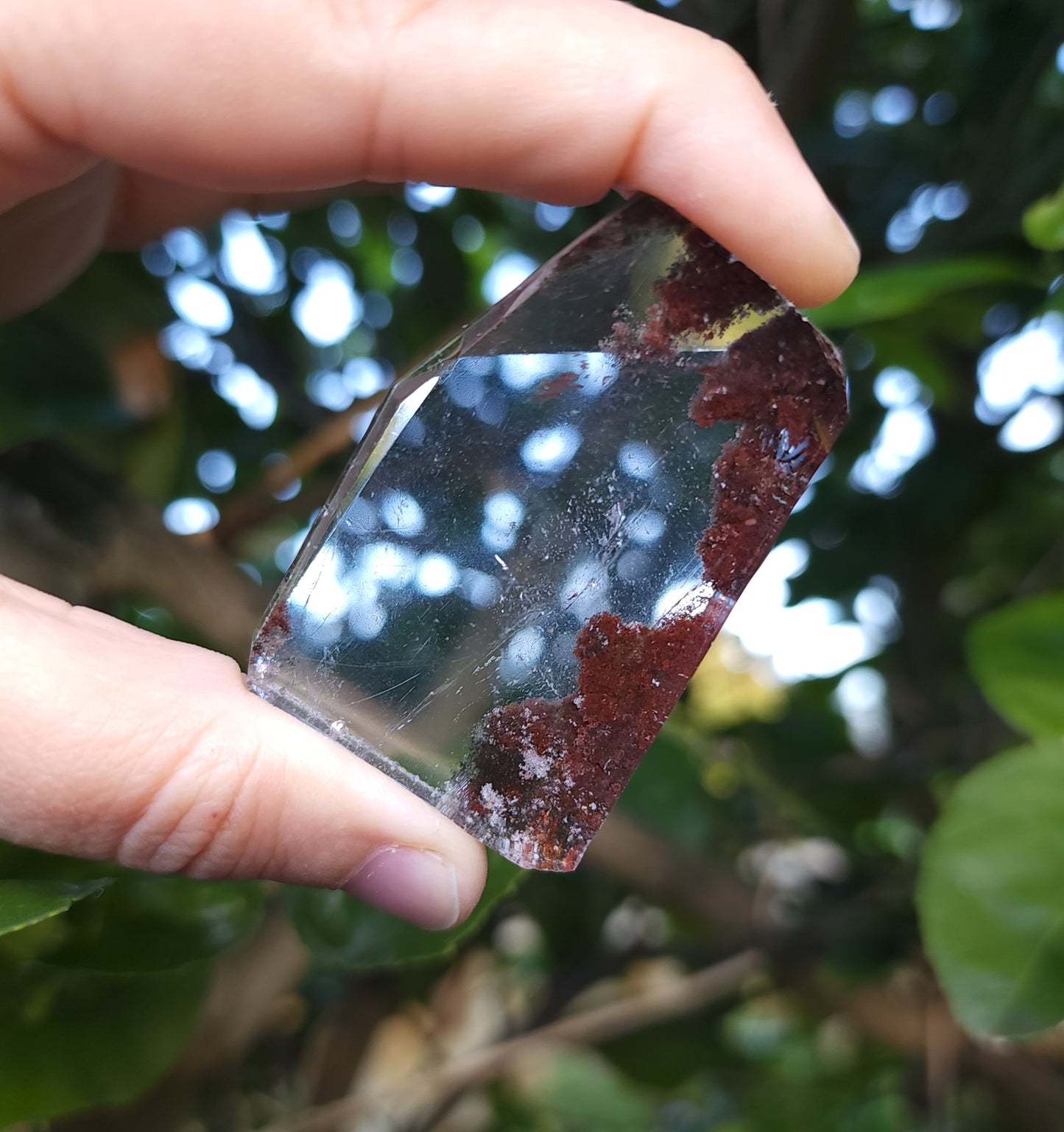 Lodolite Garden Quartz Freeform