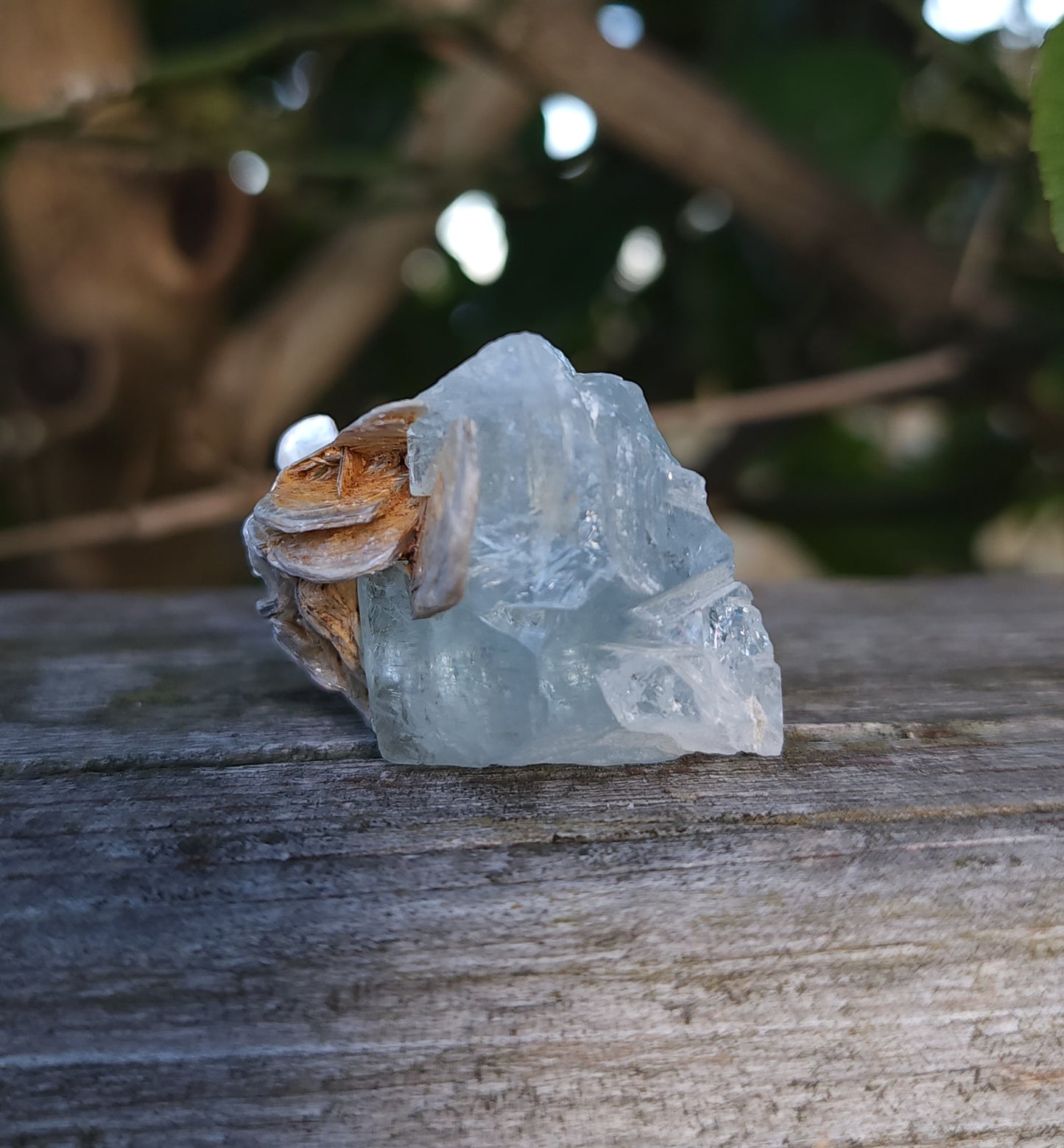 Aquamarine & Muscovite Specimen