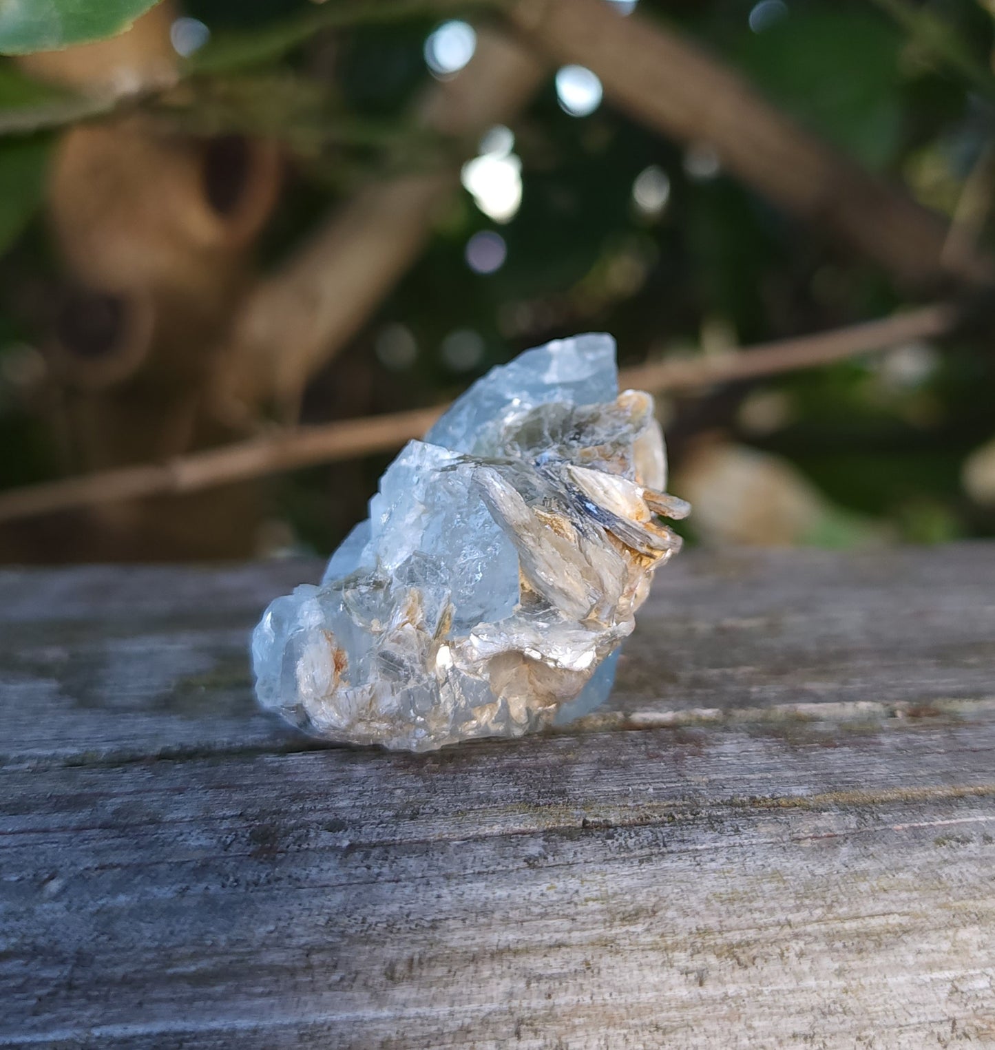 Aquamarine & Muscovite Specimen