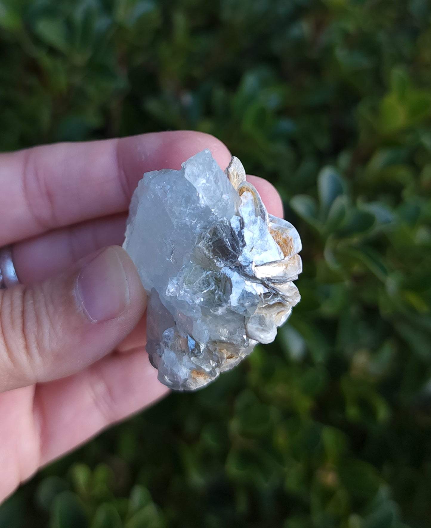 Aquamarine & Muscovite Specimen
