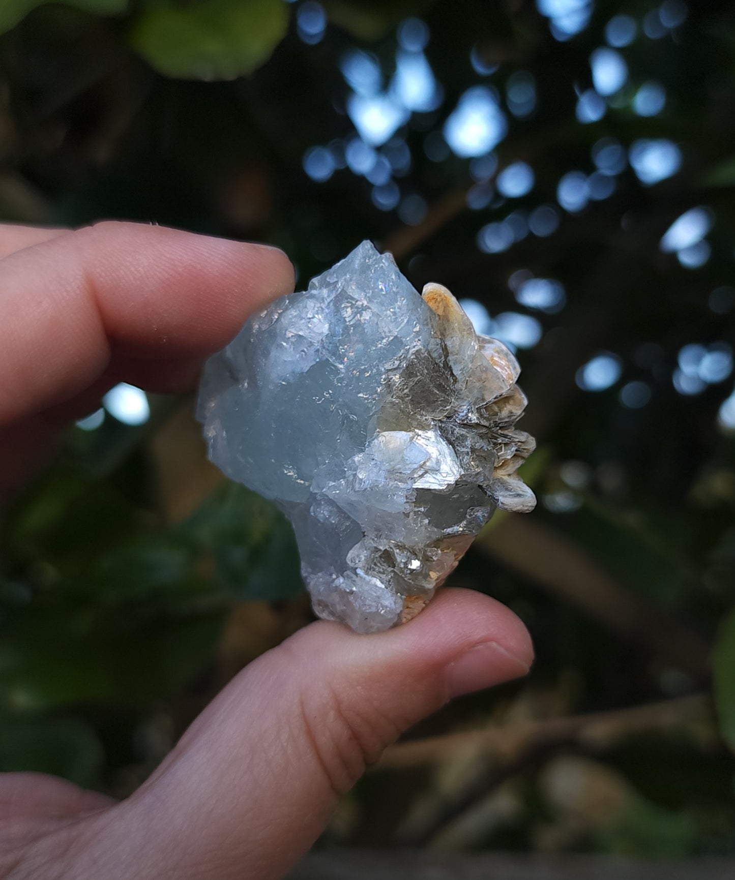 Aquamarine & Muscovite Specimen