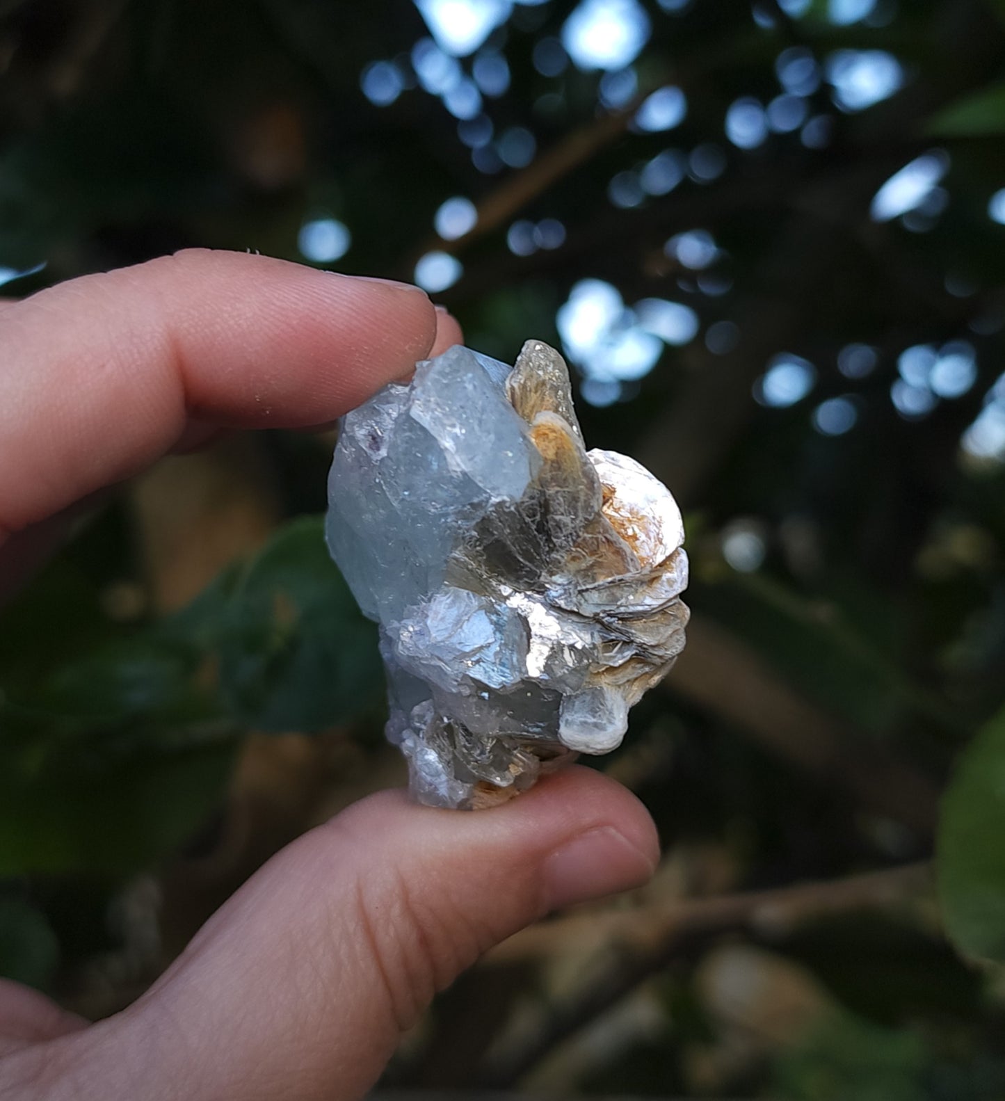Aquamarine & Muscovite Specimen