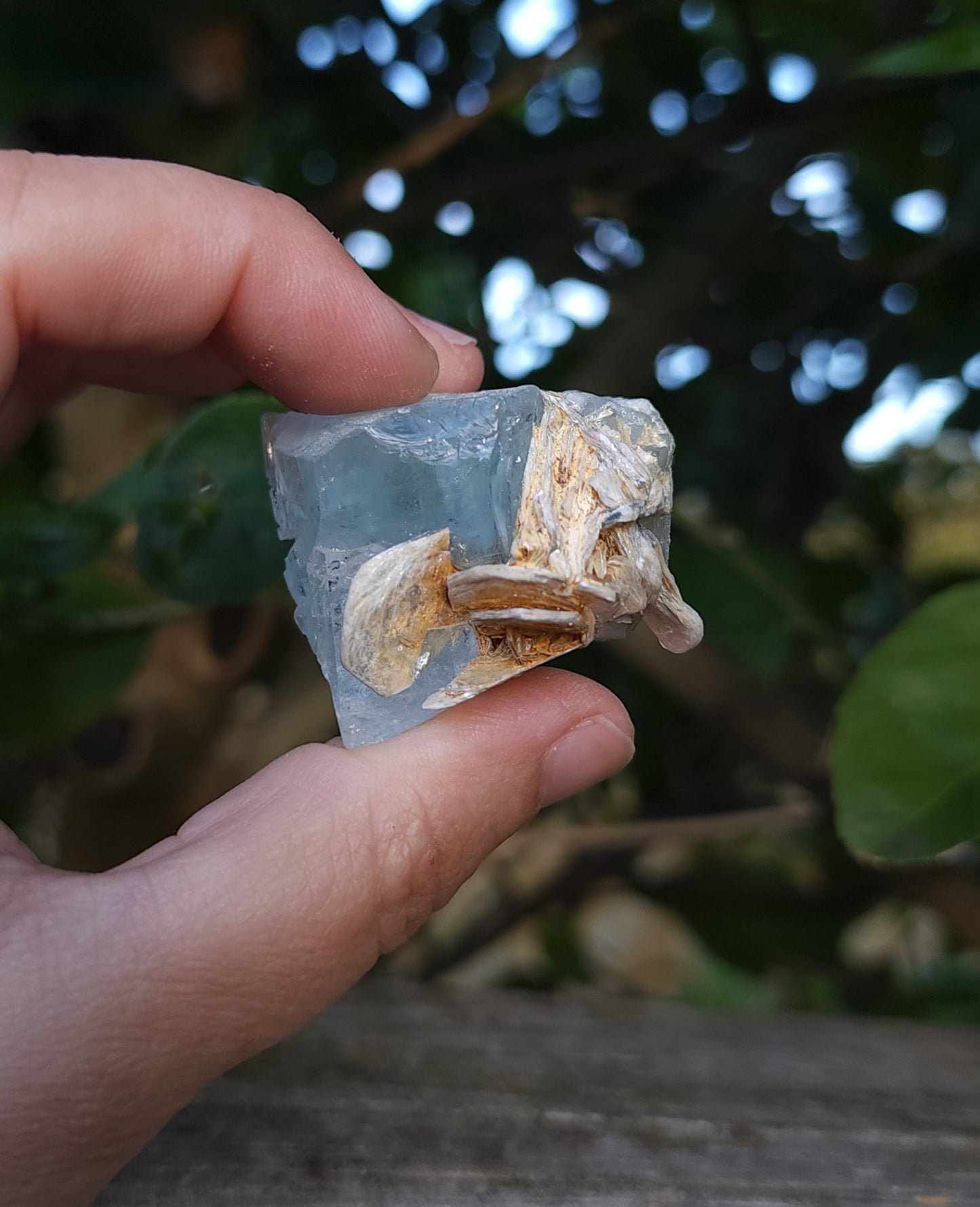 Aquamarine & Muscovite Specimen