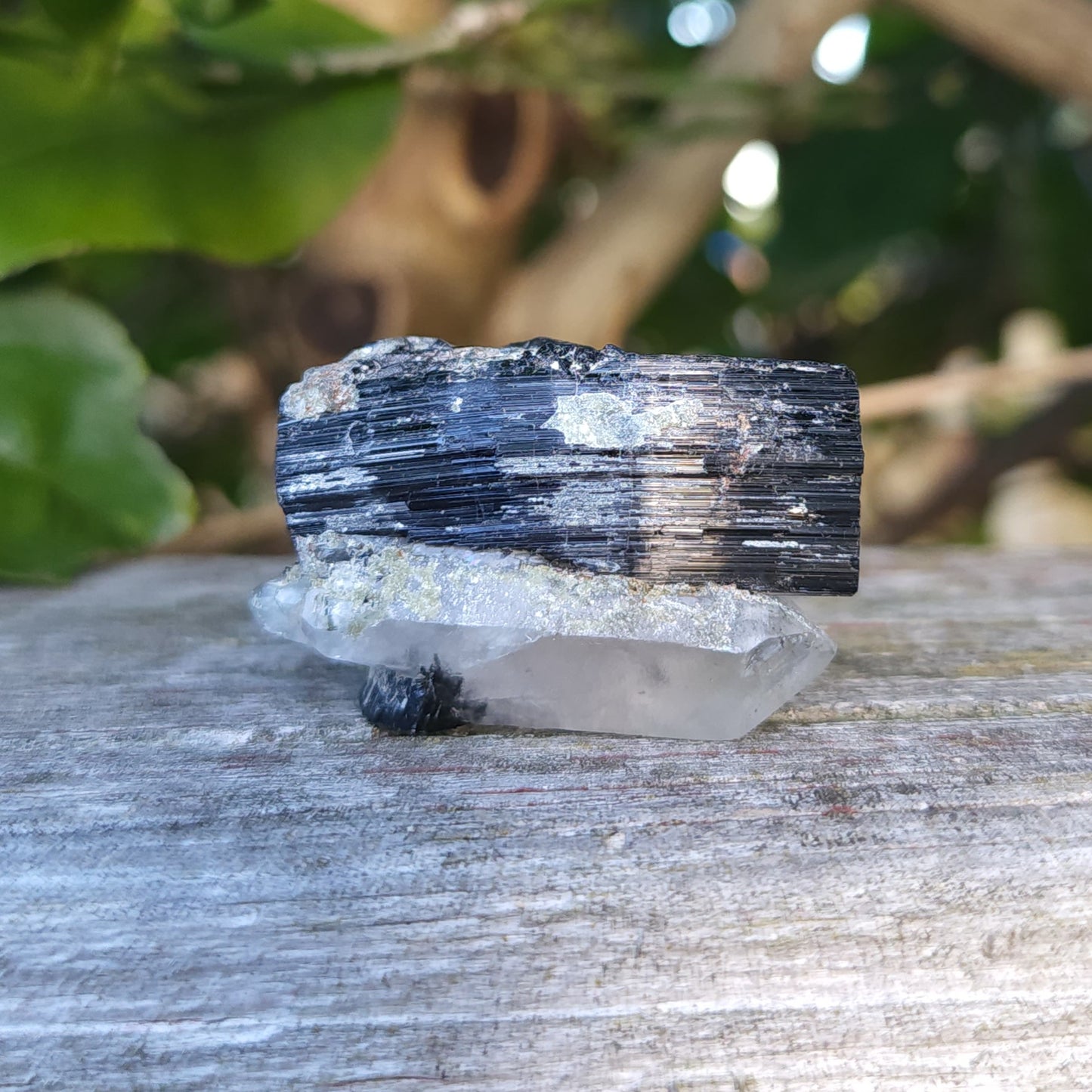 Double Terminated Quartz & Tourmaline with Epidote
