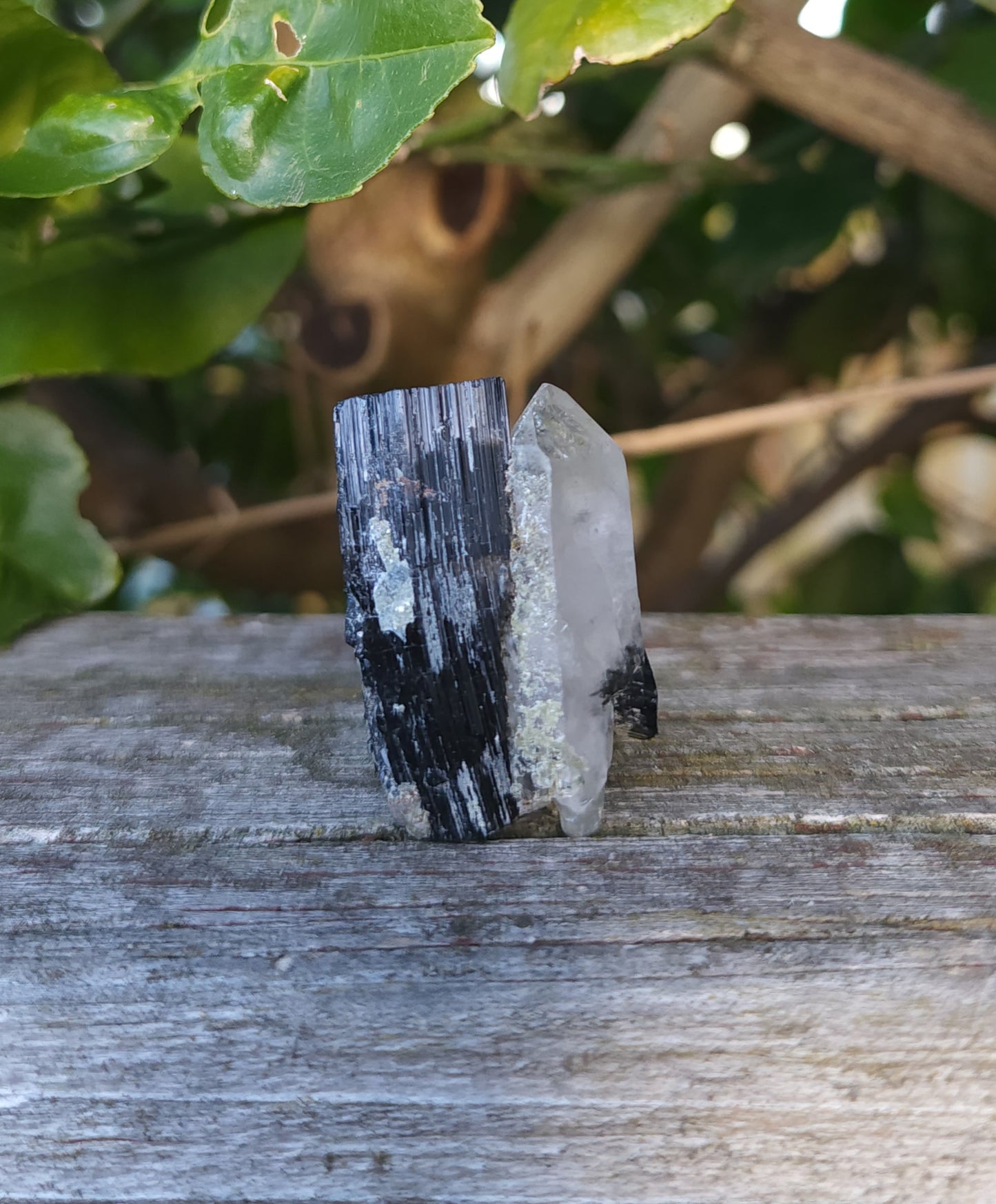 Double Terminated Quartz & Tourmaline with Epidote