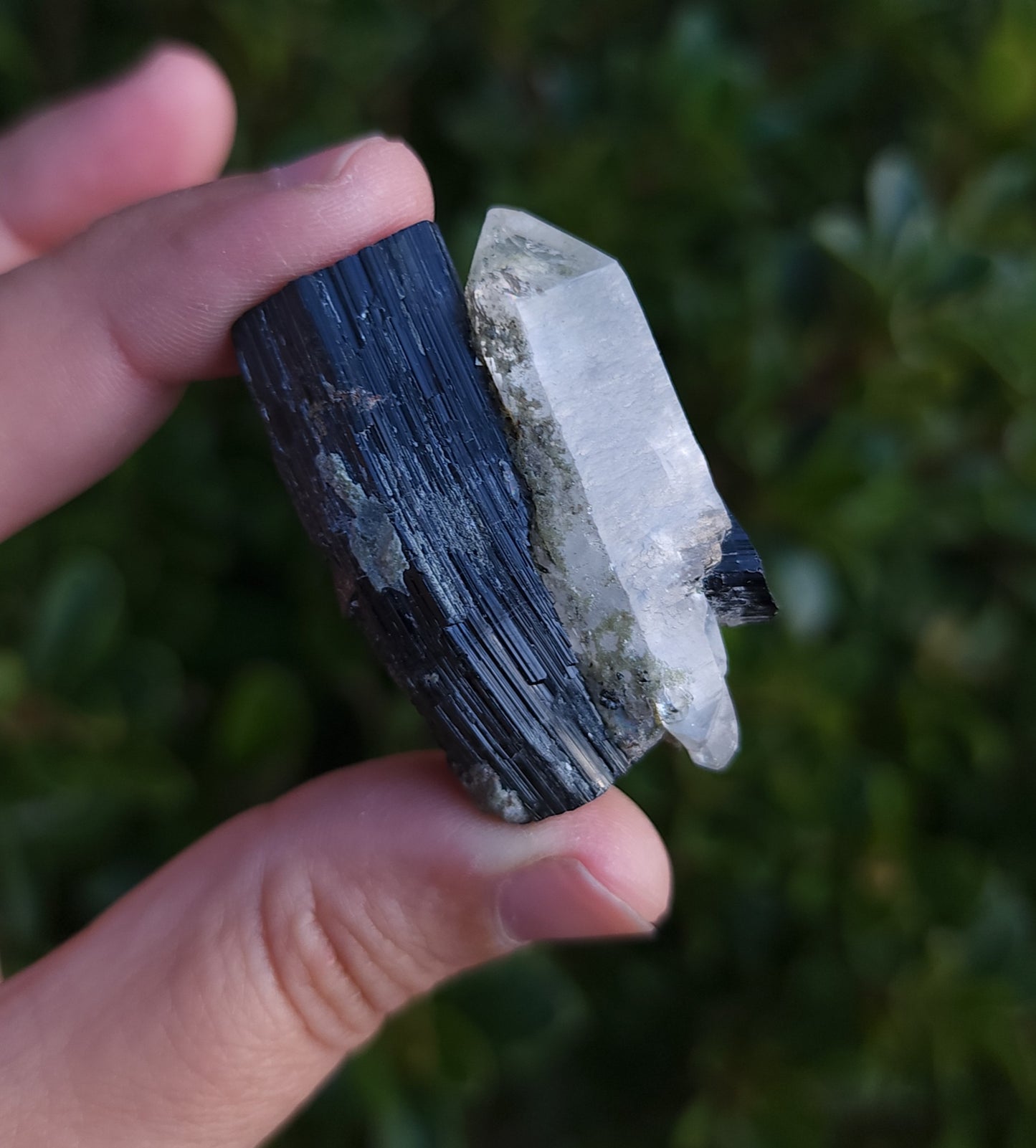 Double Terminated Quartz & Tourmaline with Epidote