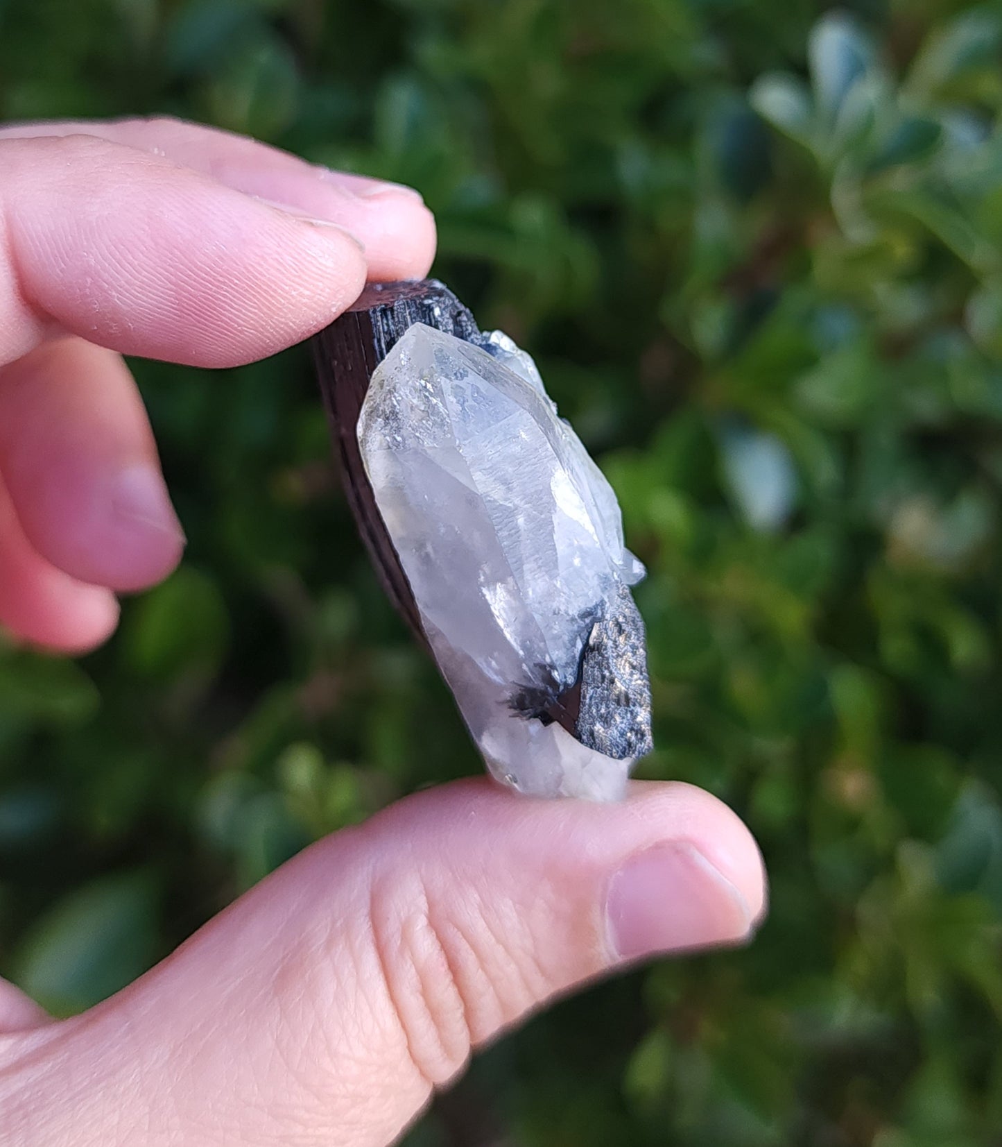 Double Terminated Quartz & Tourmaline with Epidote