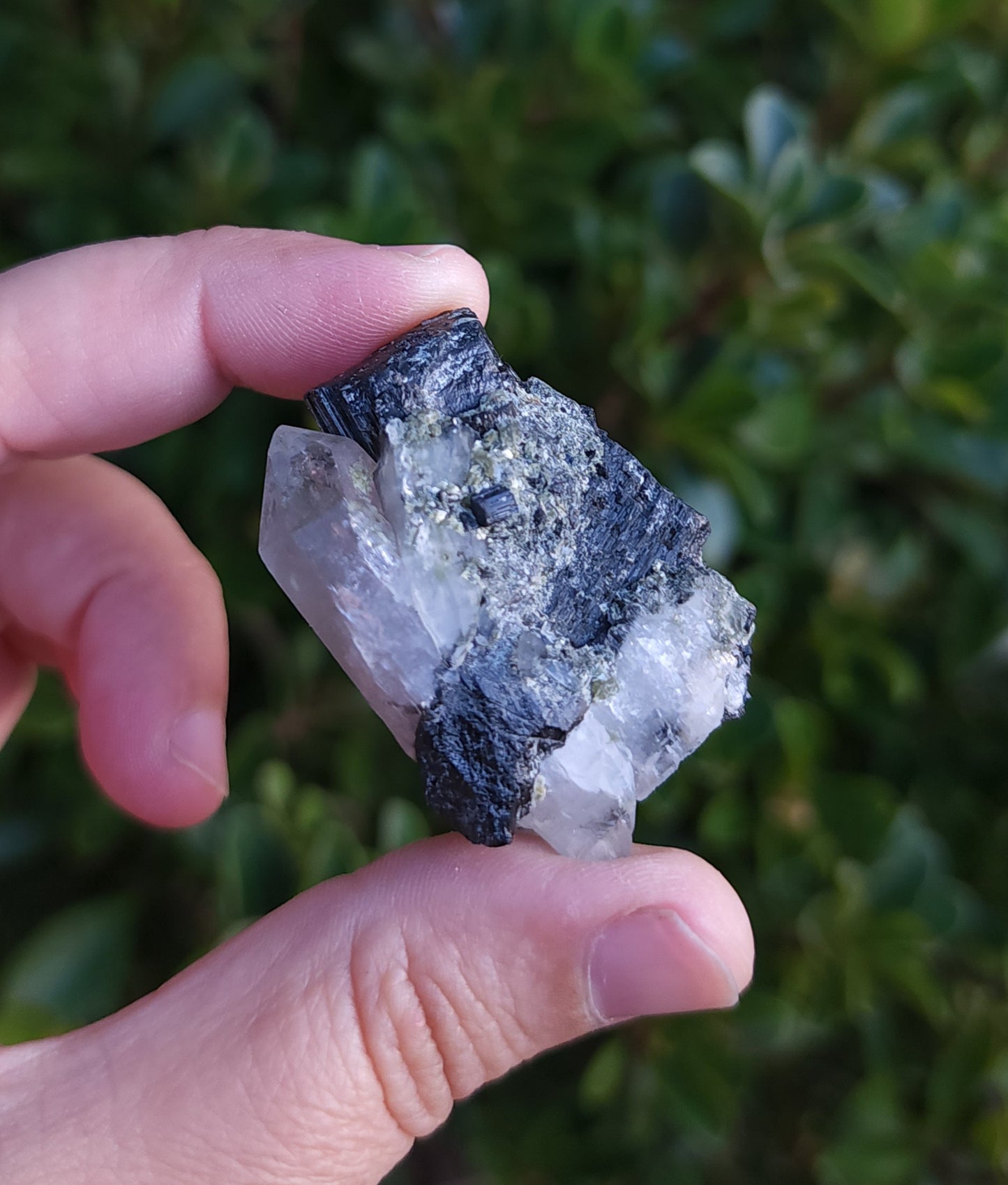 Double Terminated Quartz & Tourmaline with Epidote