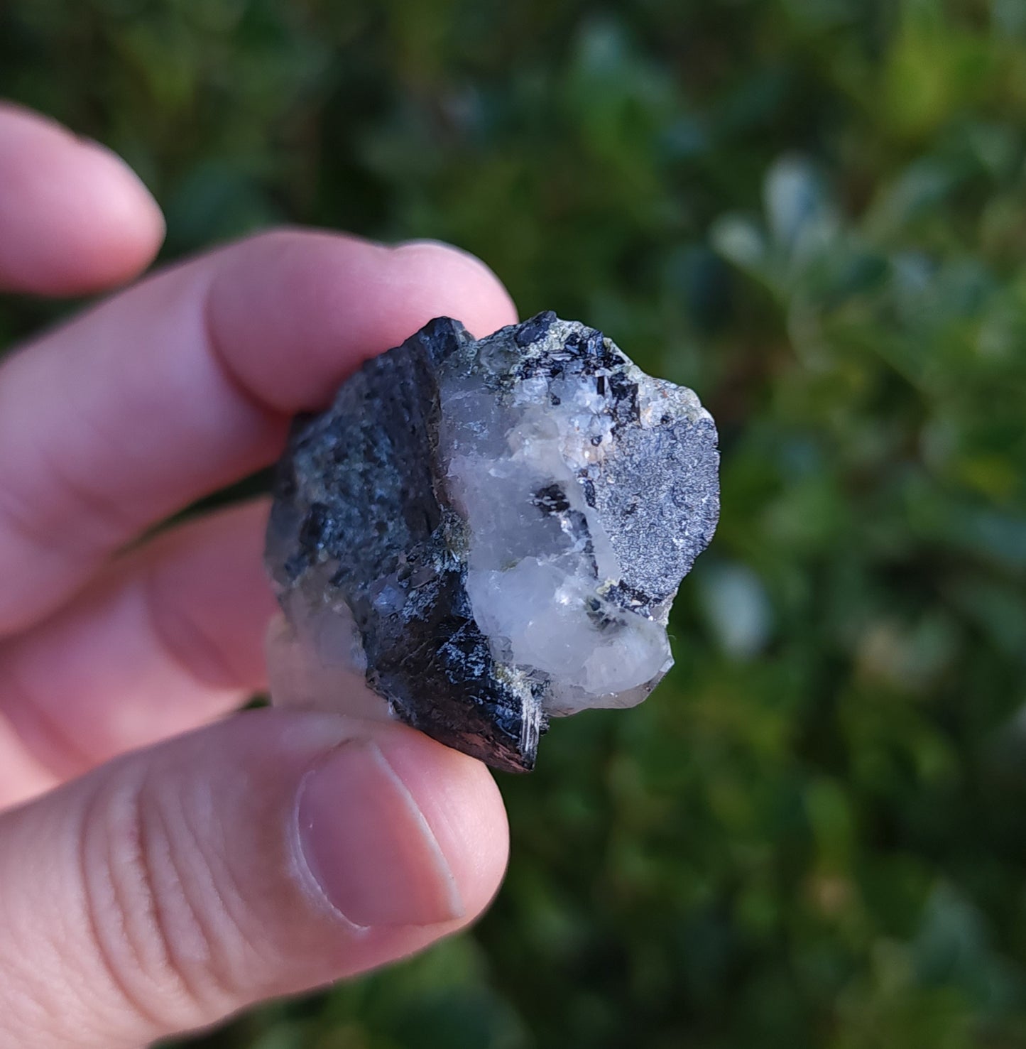 Double Terminated Quartz & Tourmaline with Epidote
