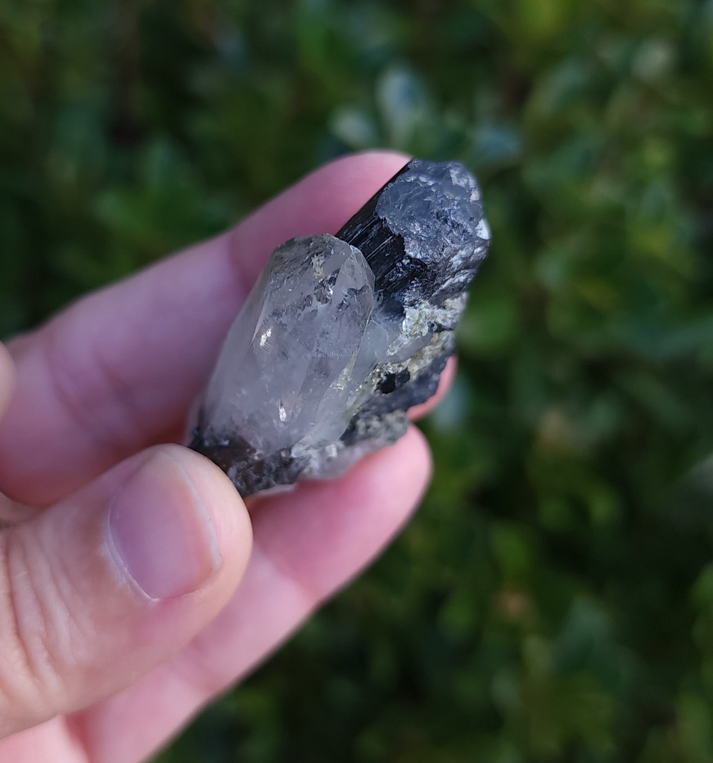 Double Terminated Quartz & Tourmaline with Epidote