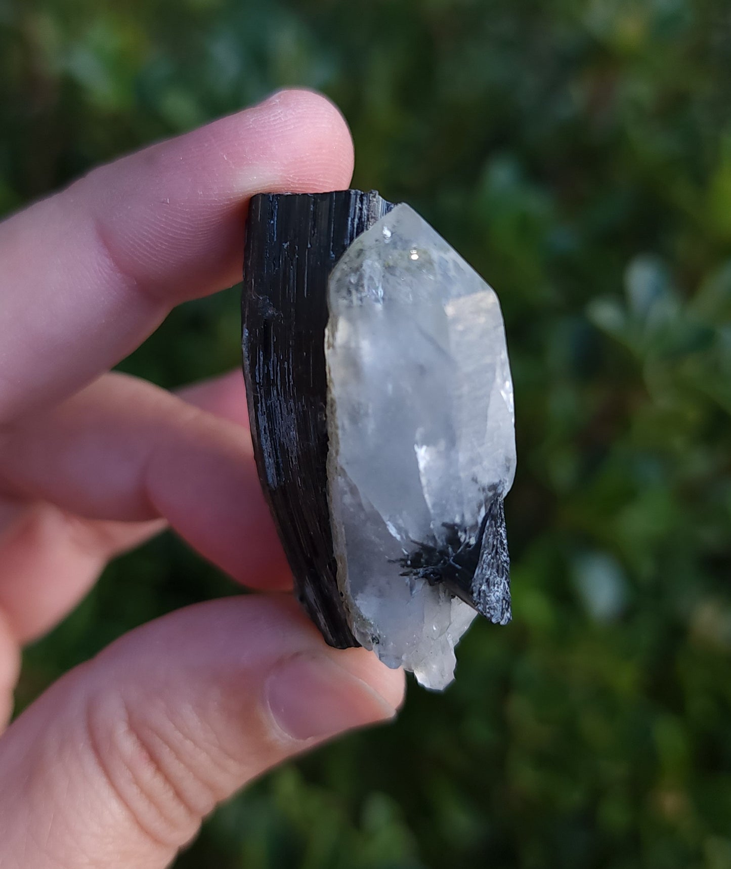 Double Terminated Quartz & Tourmaline with Epidote