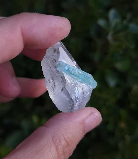 Quartz & Tourmaline Specimen