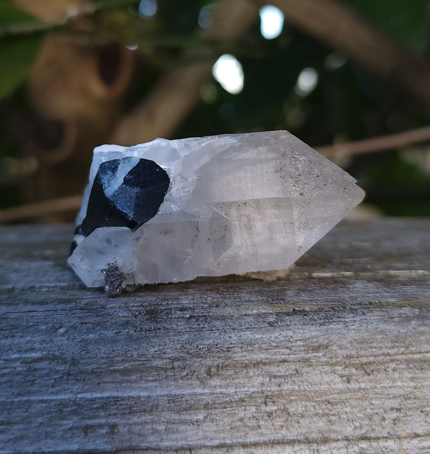 Blue Cap Tourmaline in Quartz with Cleavelandite