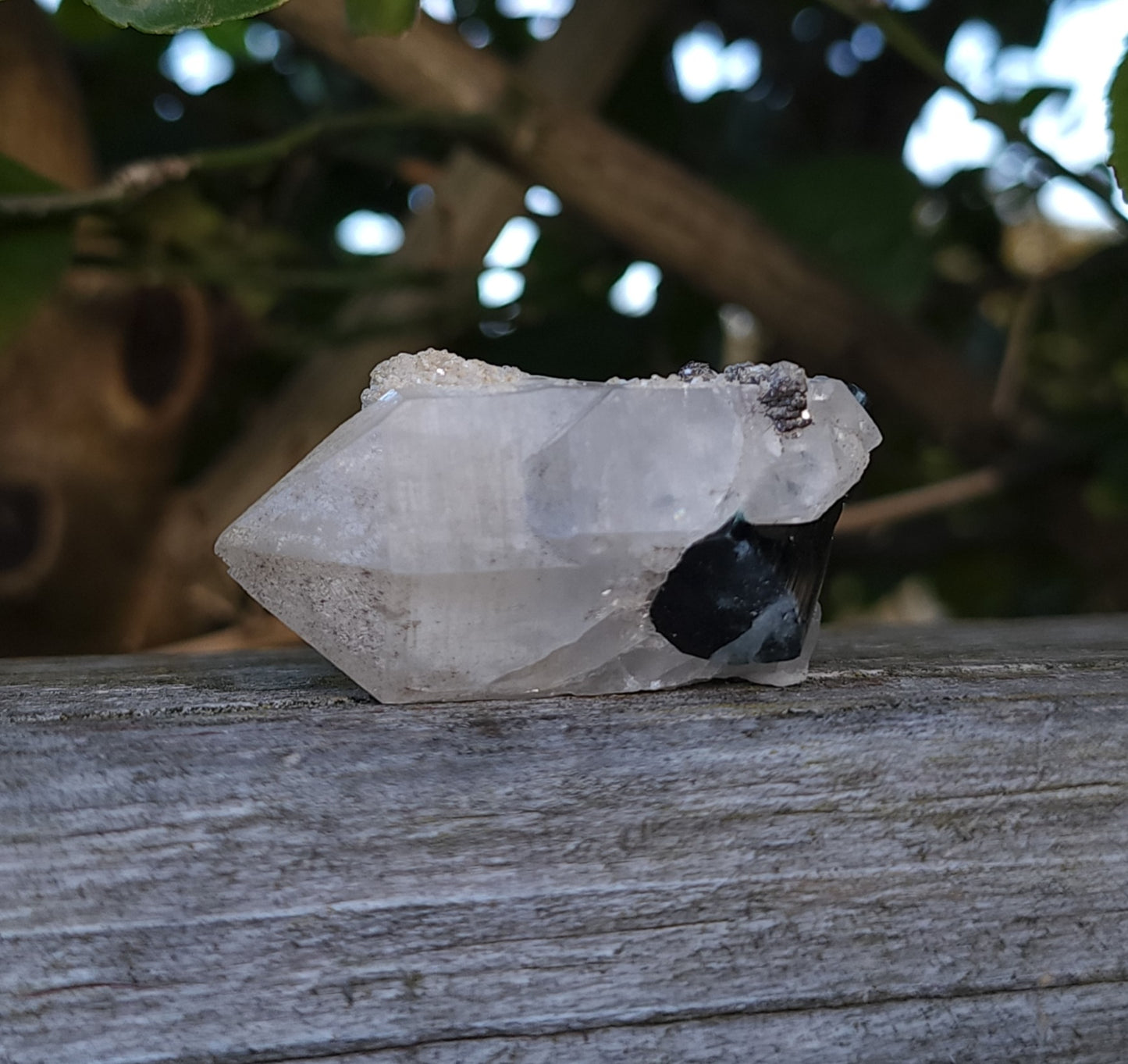 Blue Cap Tourmaline in Quartz with Cleavelandite