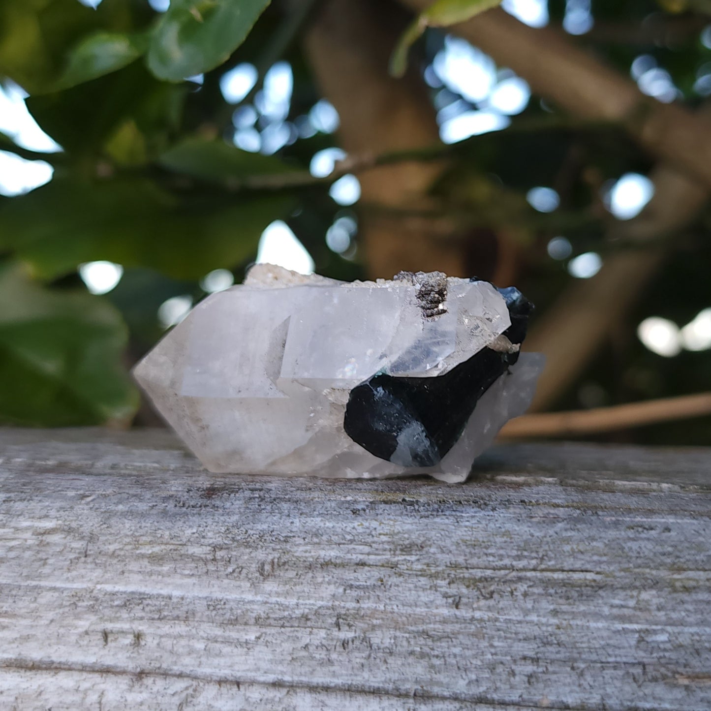 Blue Cap Tourmaline in Quartz with Cleavelandite
