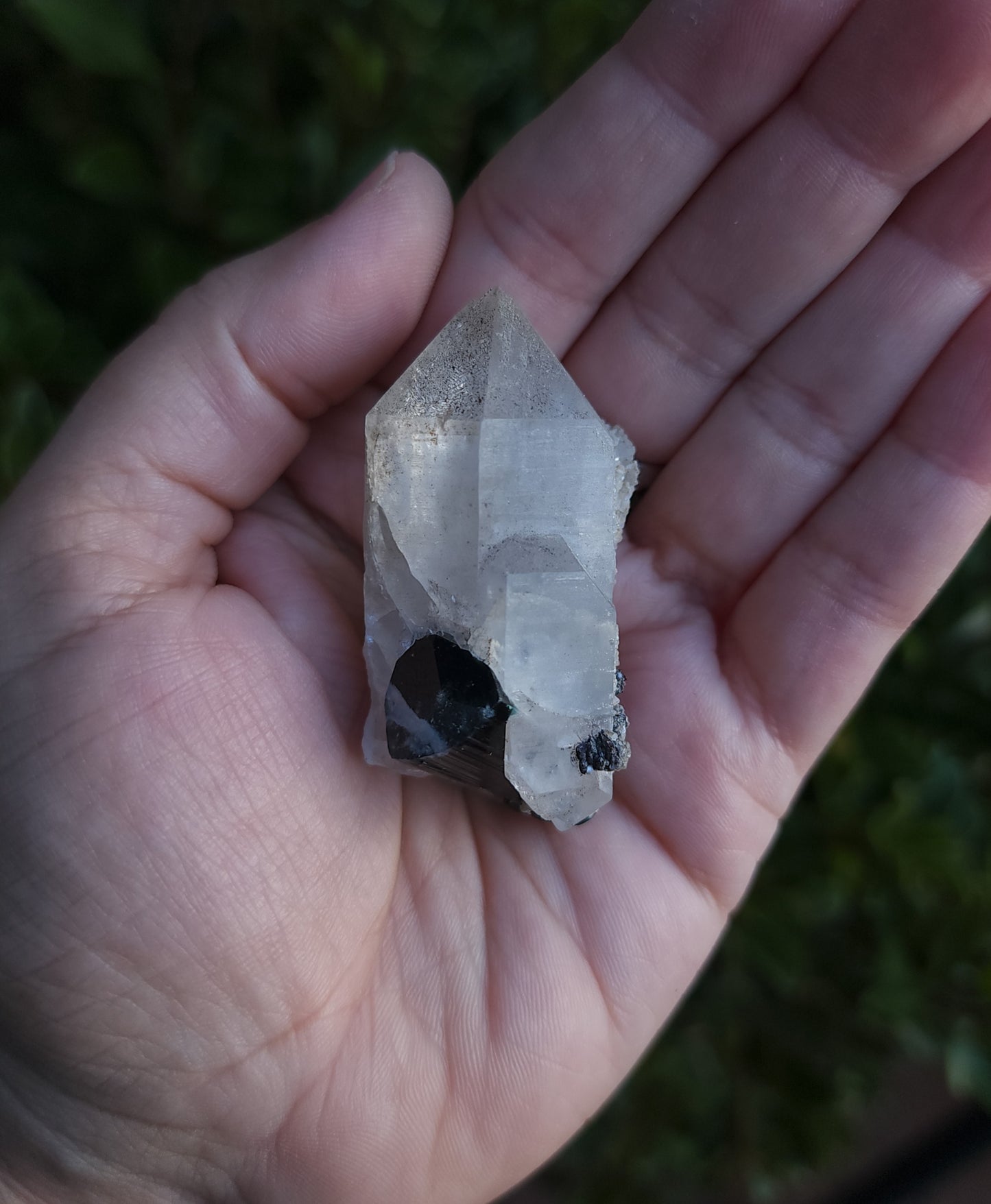 Blue Cap Tourmaline in Quartz with Cleavelandite