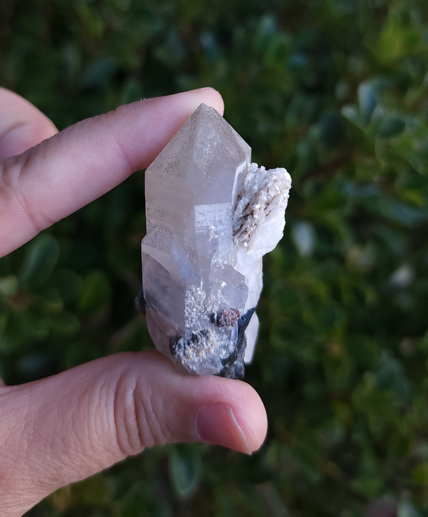 Blue Cap Tourmaline in Quartz with Cleavelandite