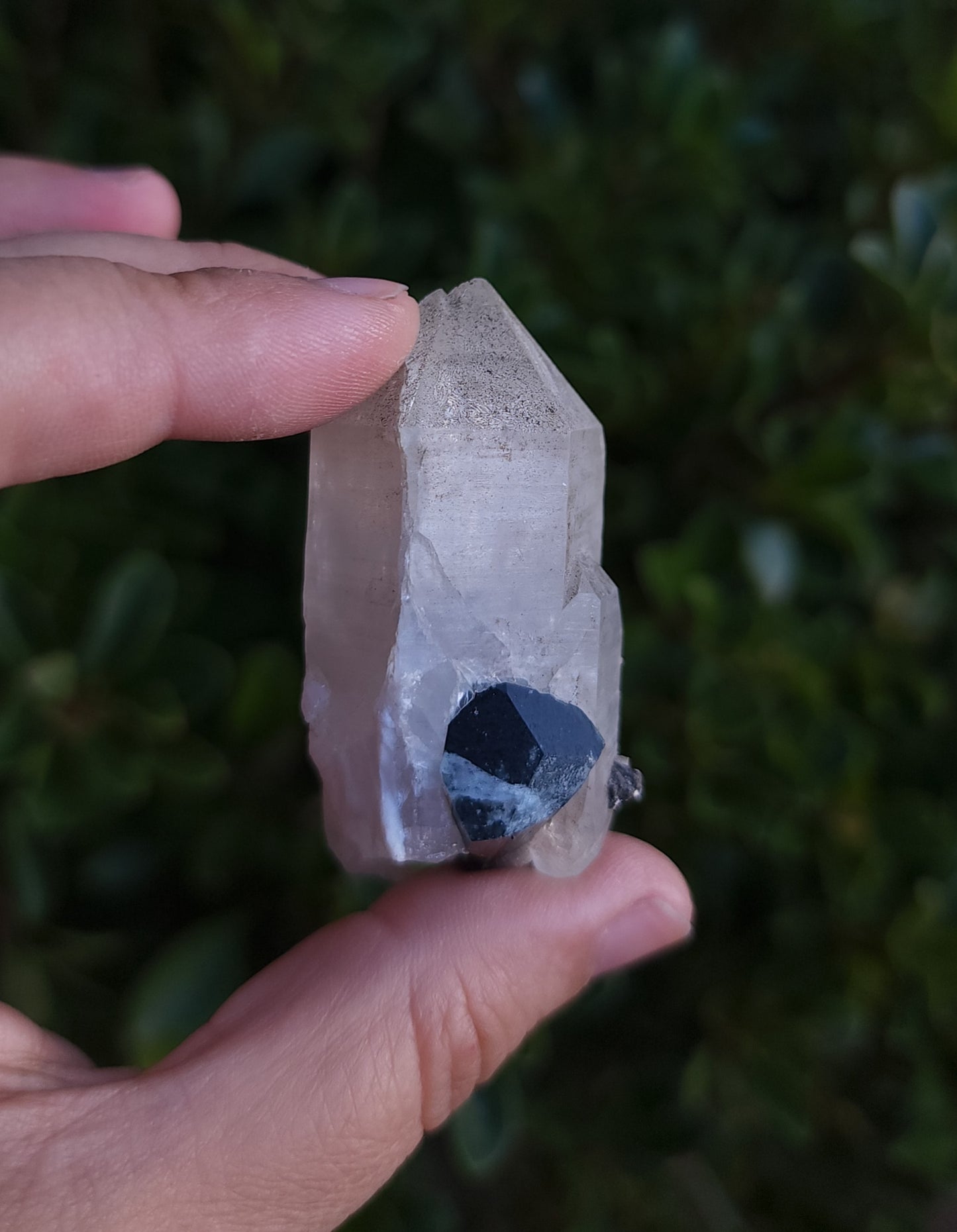 Blue Cap Tourmaline in Quartz with Cleavelandite