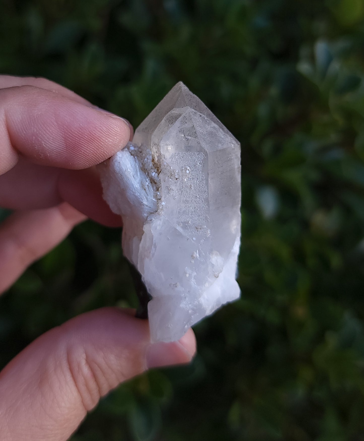 Blue Cap Tourmaline in Quartz with Cleavelandite