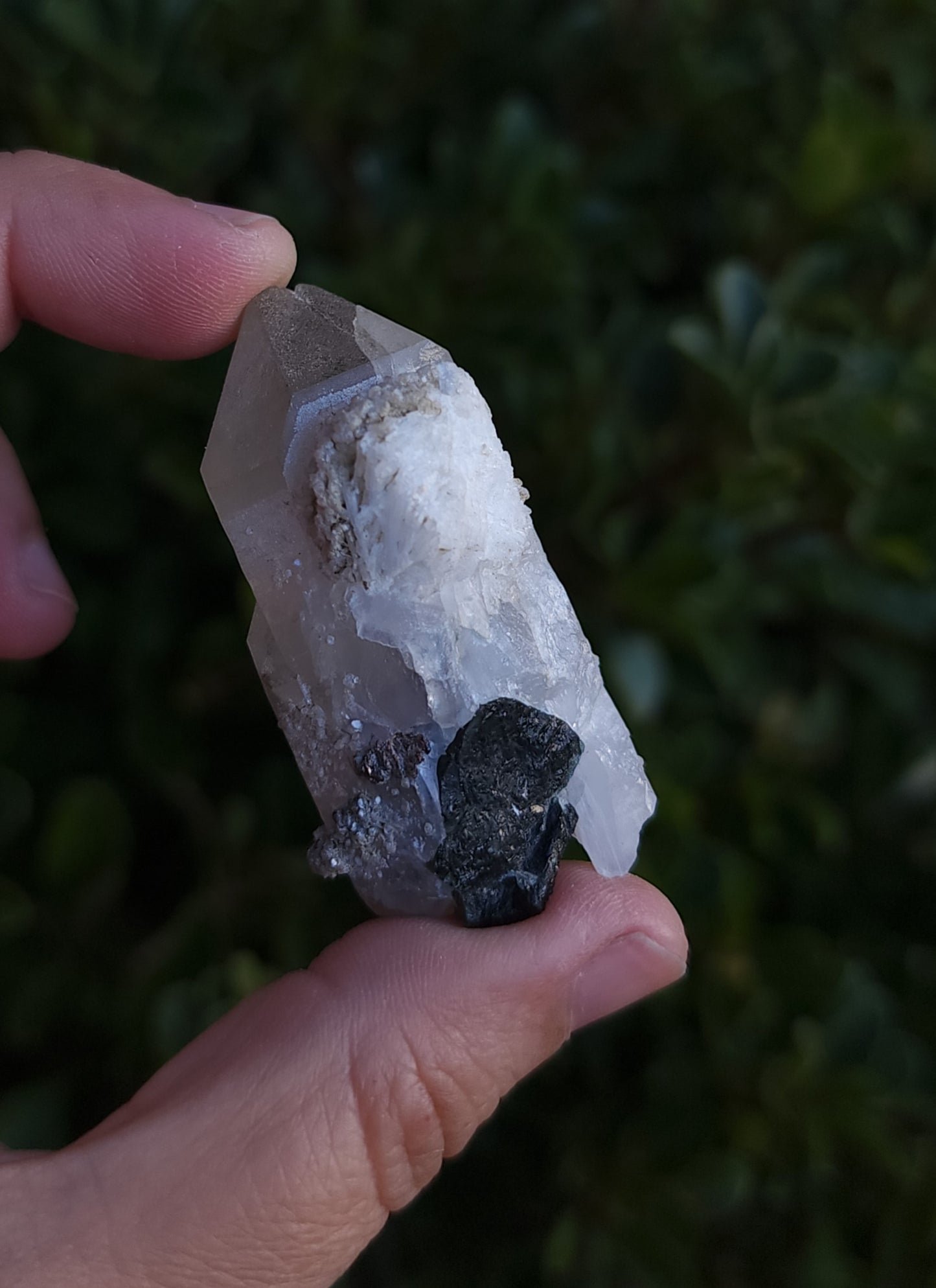 Blue Cap Tourmaline in Quartz with Cleavelandite