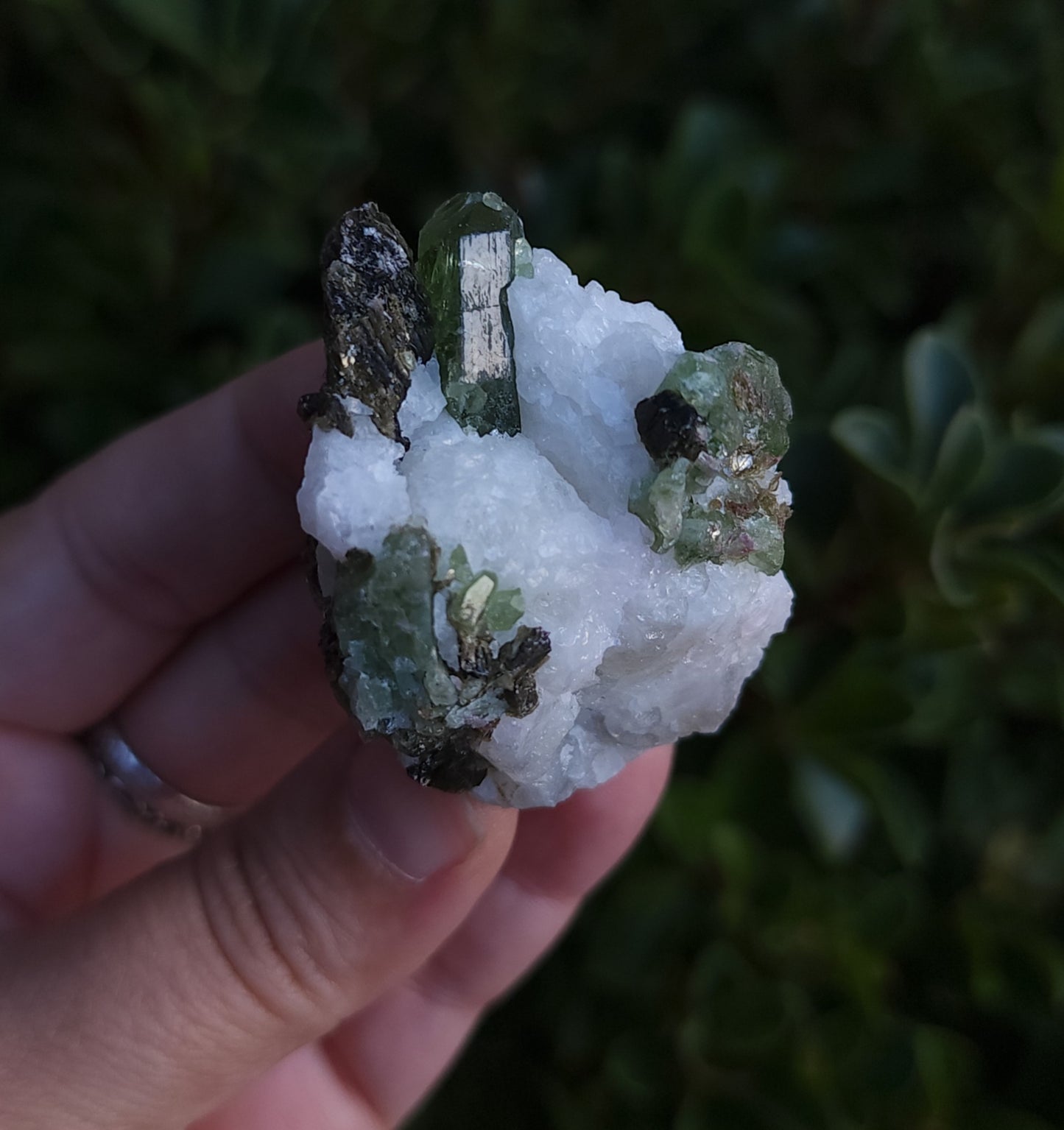 Chrome Diopside & Biotite Mica in Albite