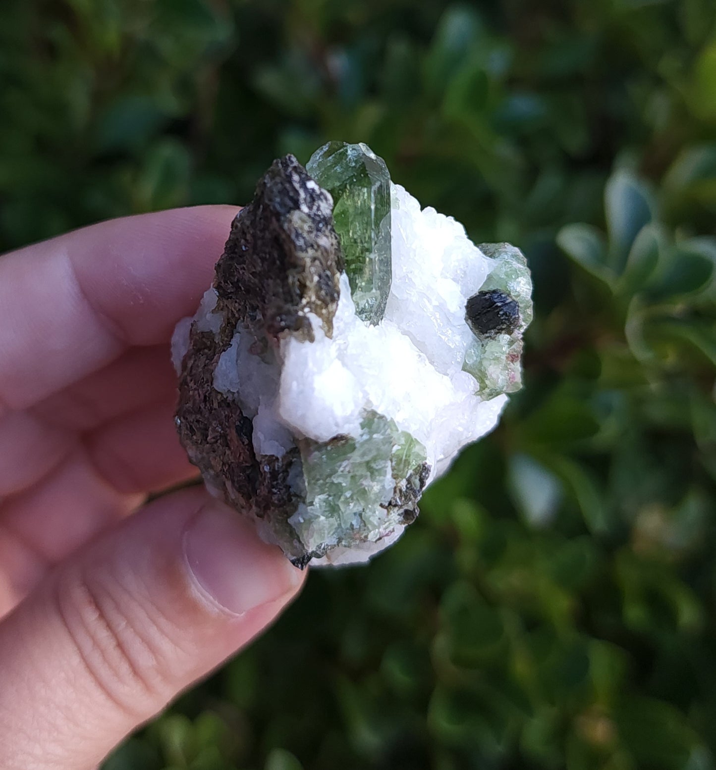 Chrome Diopside & Biotite Mica in Albite