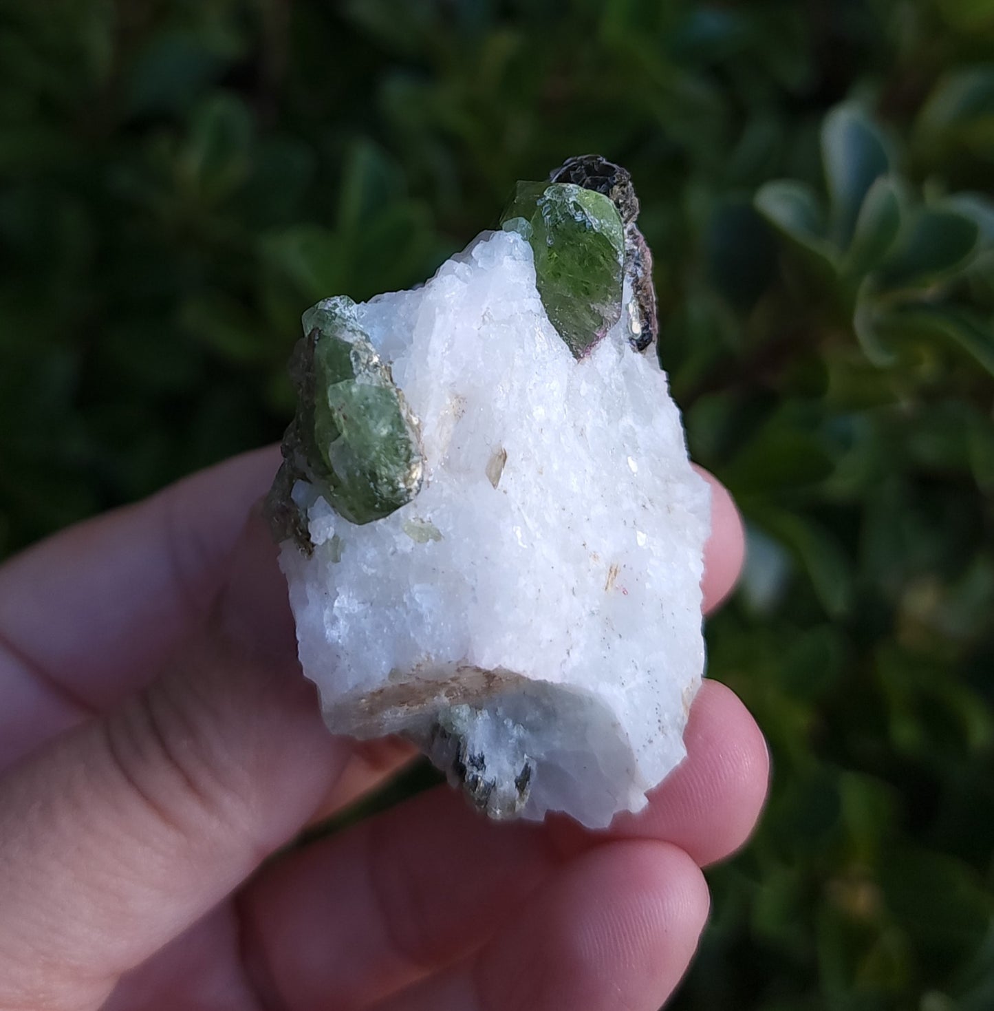 Chrome Diopside & Biotite Mica in Albite
