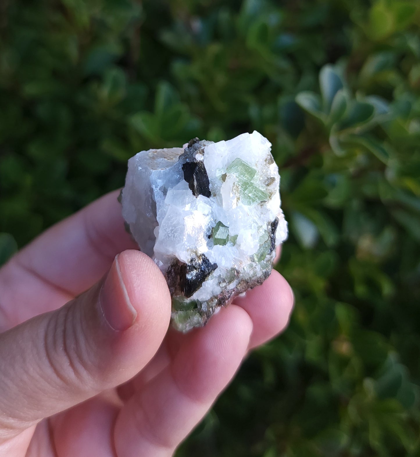 Chrome Diopside & Biotite Mica in Albite