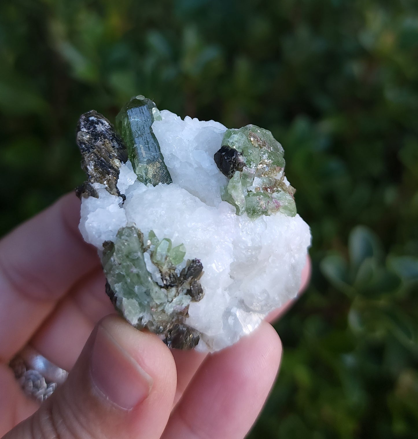 Chrome Diopside & Biotite Mica in Albite