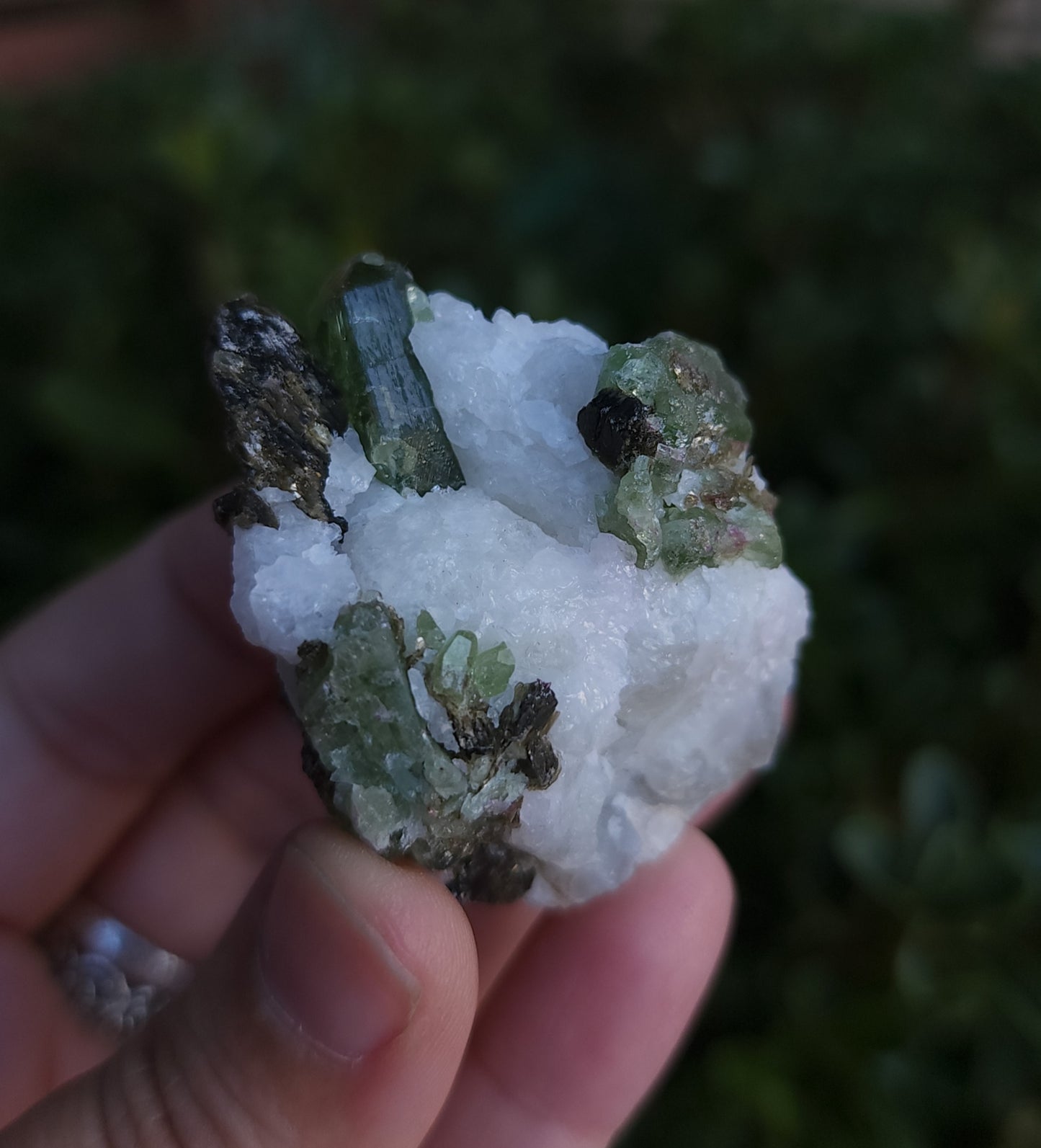 Chrome Diopside & Biotite Mica in Albite