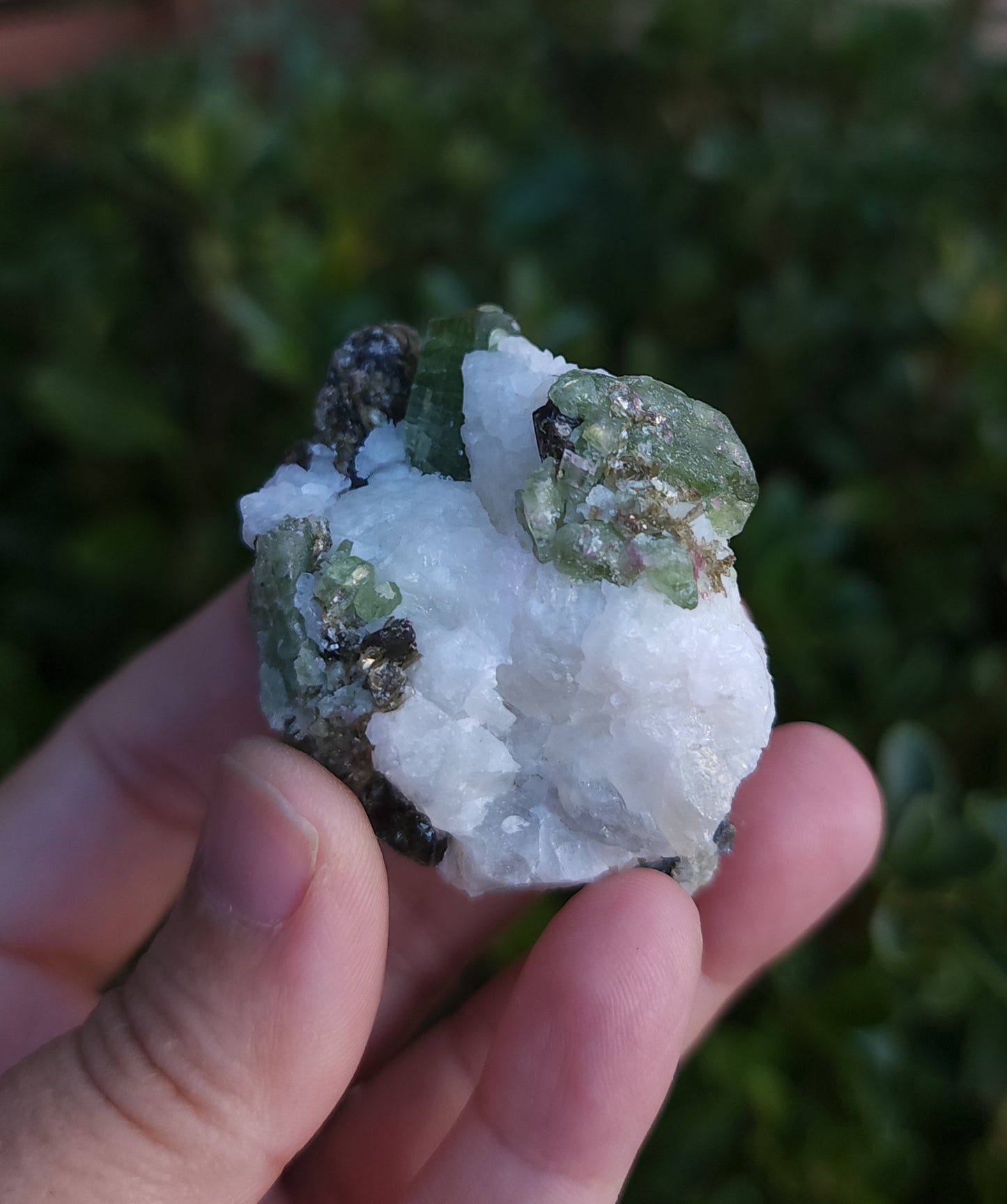 Chrome Diopside & Biotite Mica in Albite
