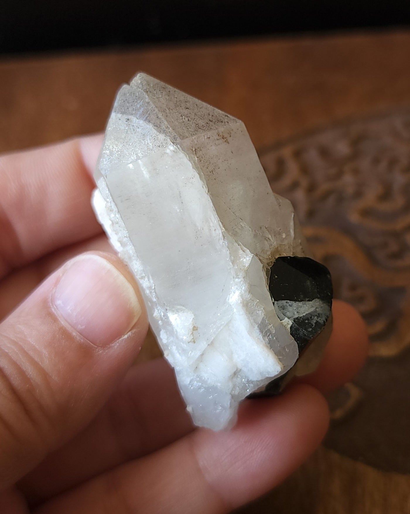 Blue Cap Tourmaline in Quartz with Cleavelandite