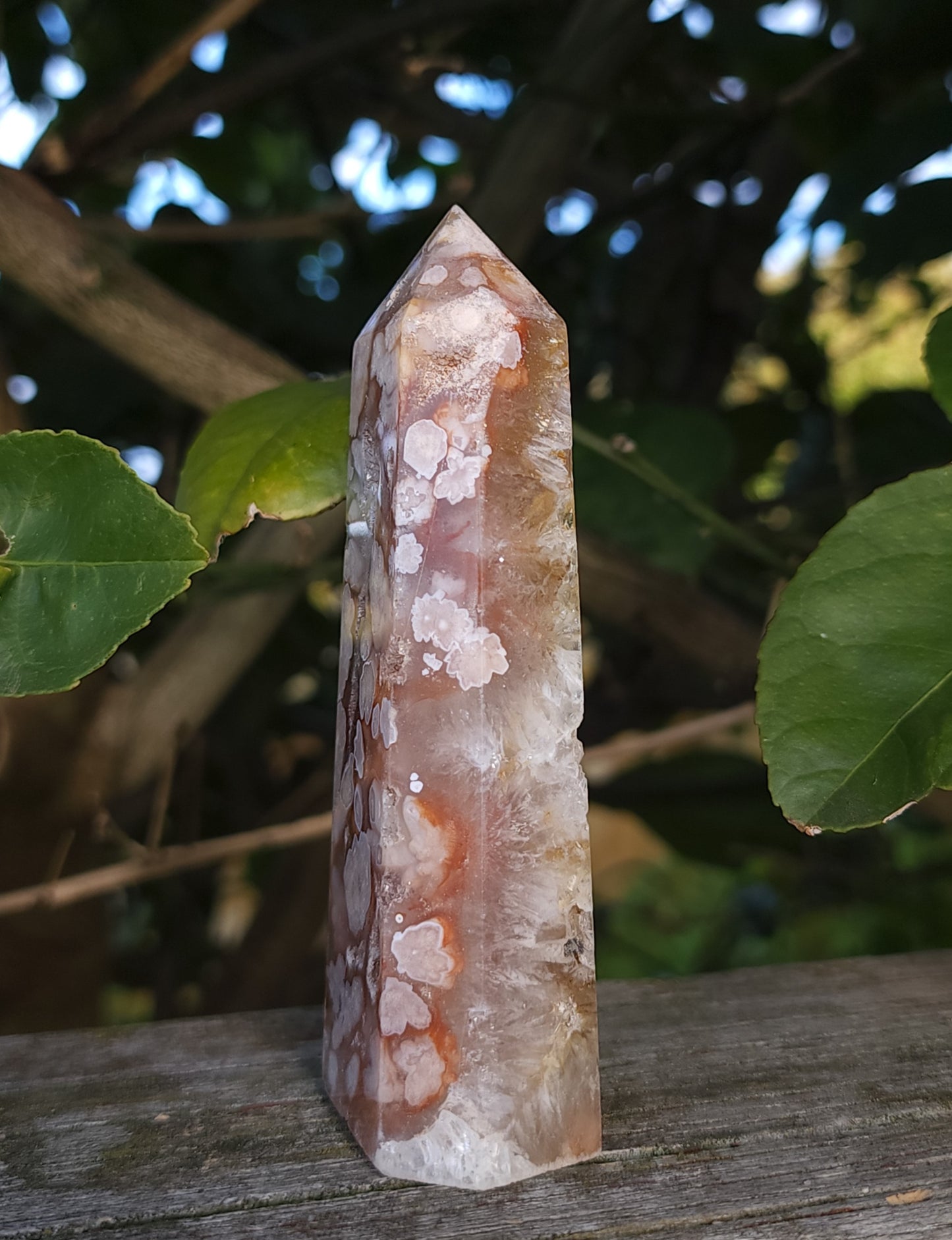 Flower Agate & Golden Healer Quartz Druzy Tower